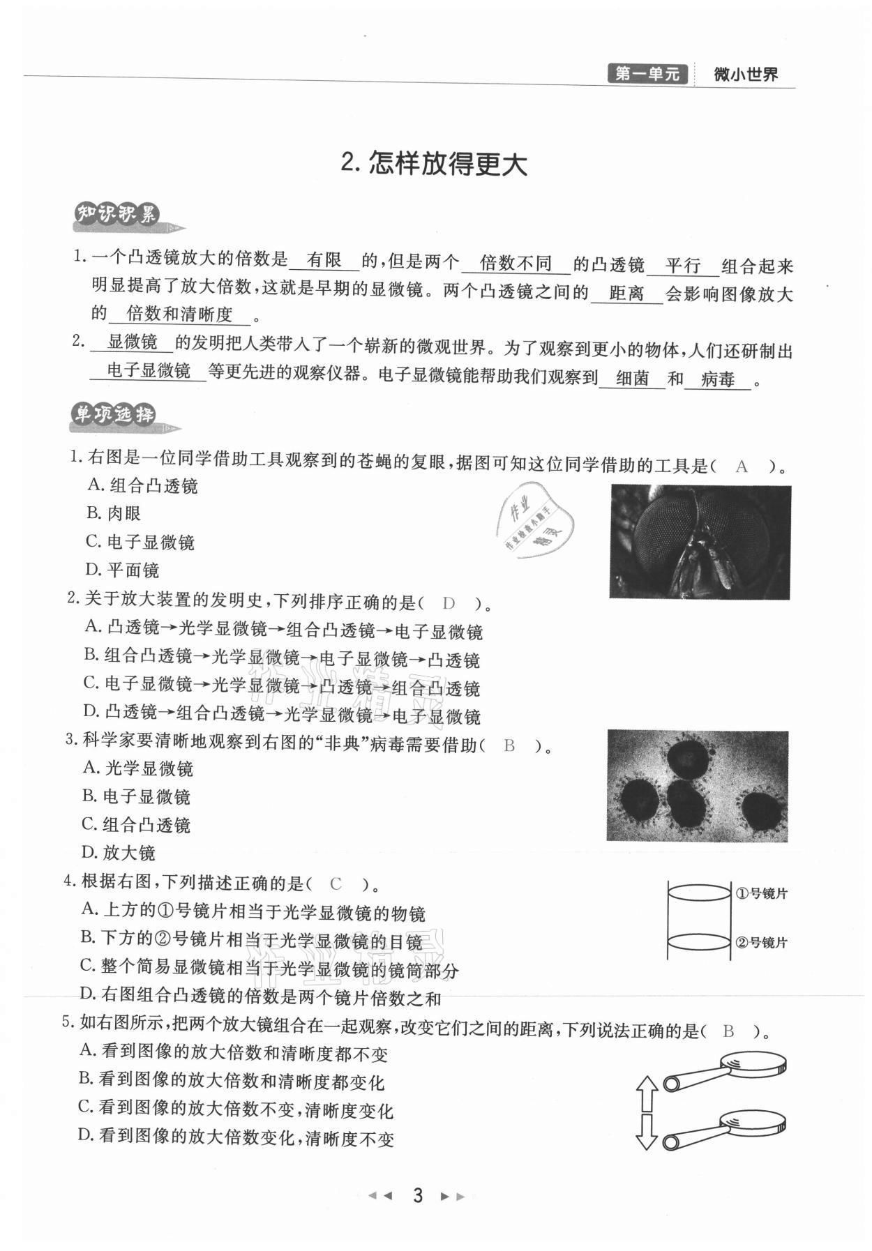 2021年小学学习好帮手六年级科学上册教科版 参考答案第3页