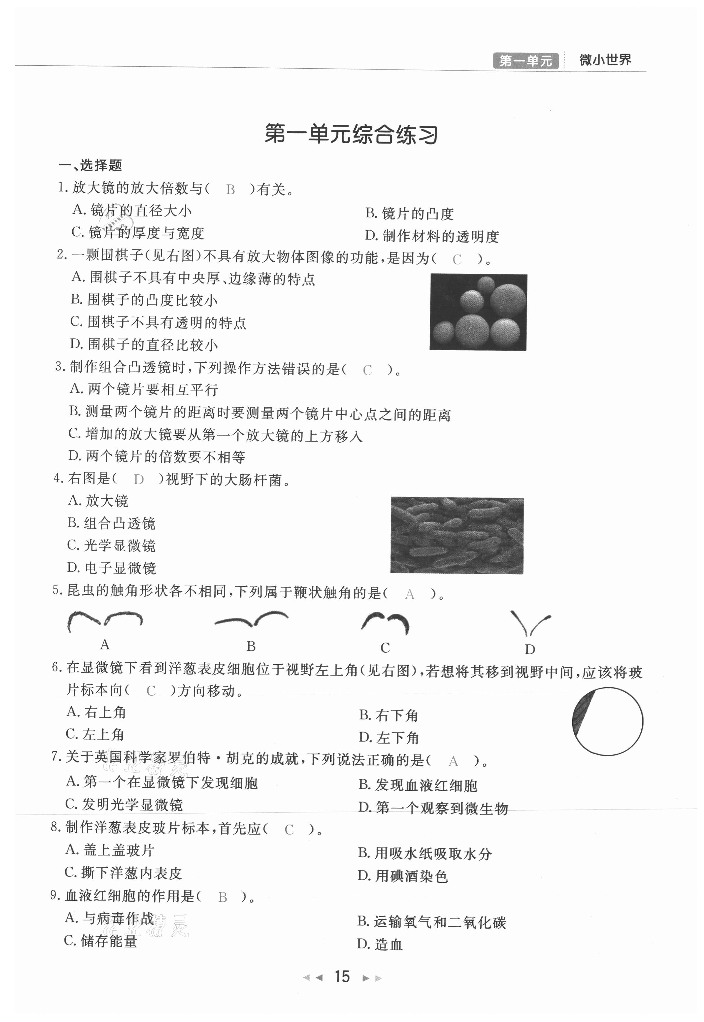 2021年小学学习好帮手六年级科学上册教科版 参考答案第15页