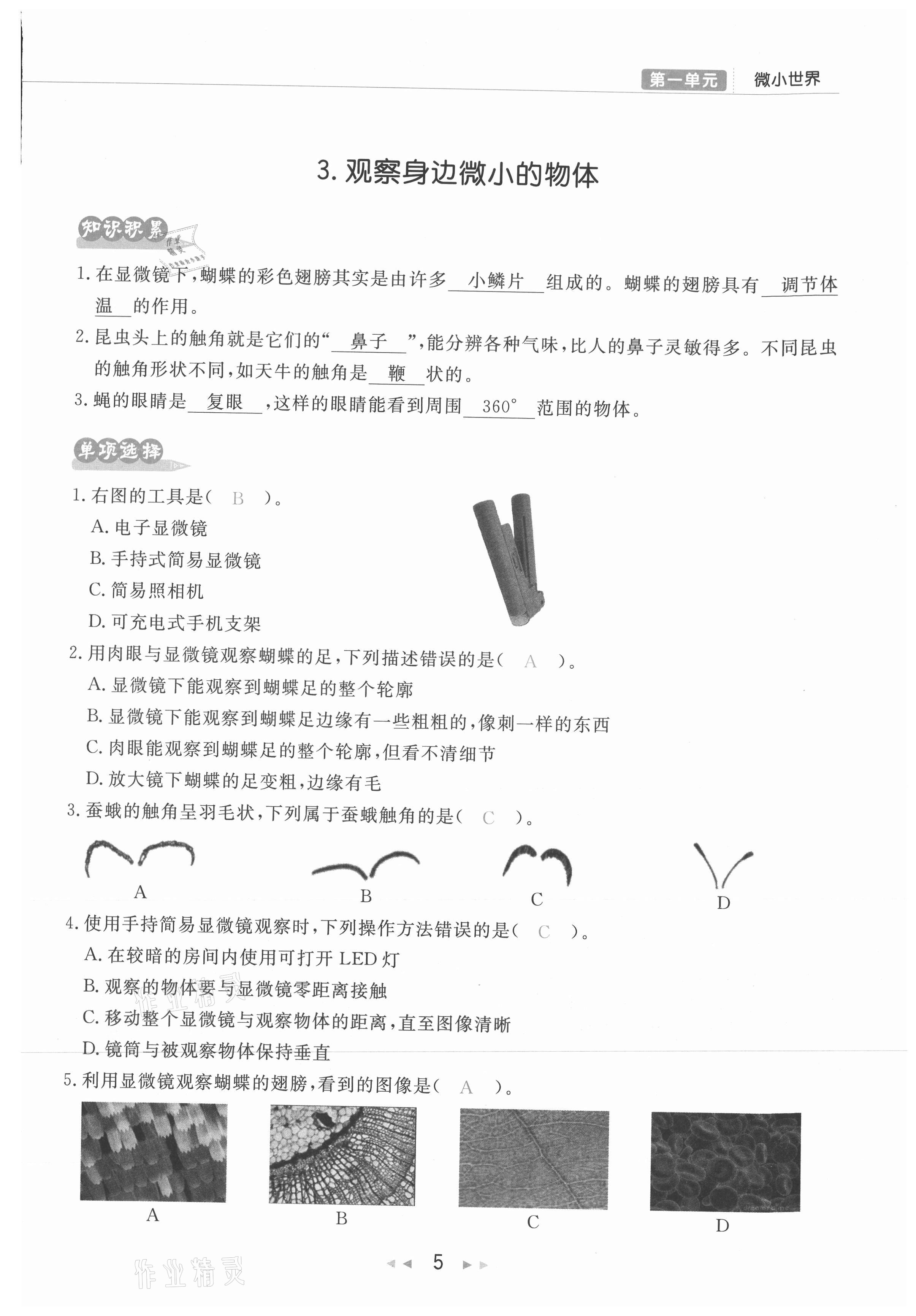 2021年小学学习好帮手六年级科学上册教科版 参考答案第5页