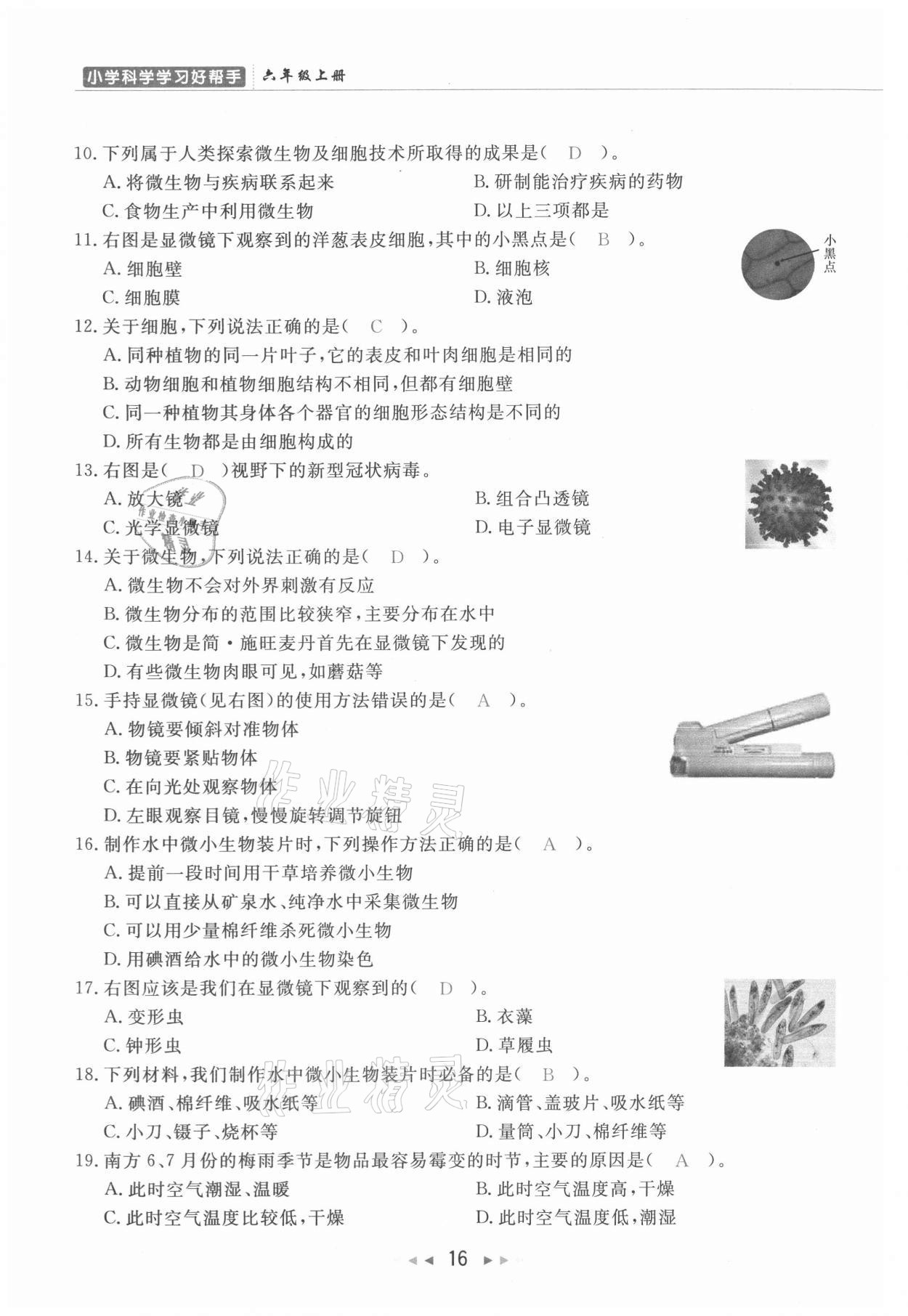 2021年小学学习好帮手六年级科学上册教科版 参考答案第16页