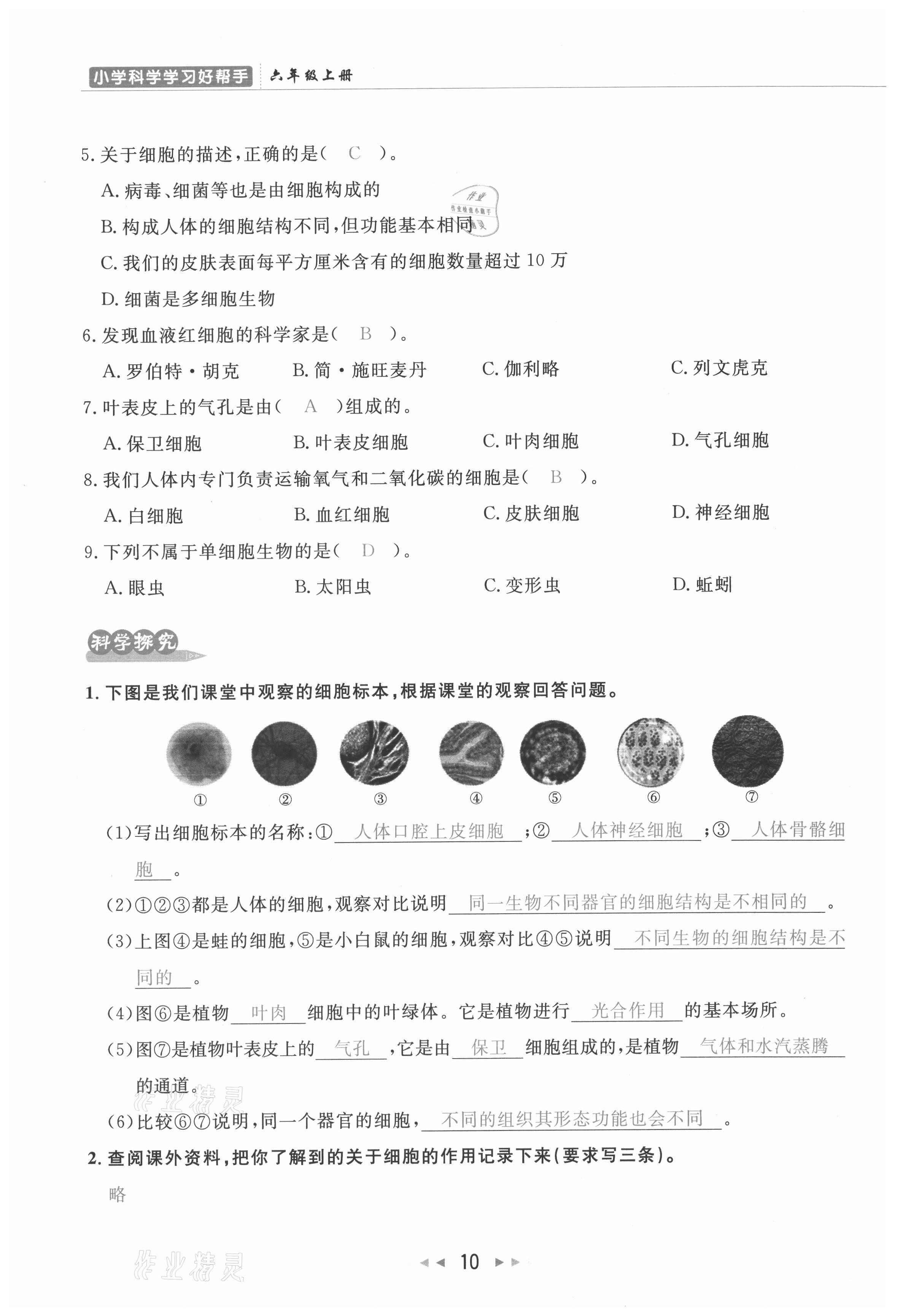 2021年小学学习好帮手六年级科学上册教科版 参考答案第10页