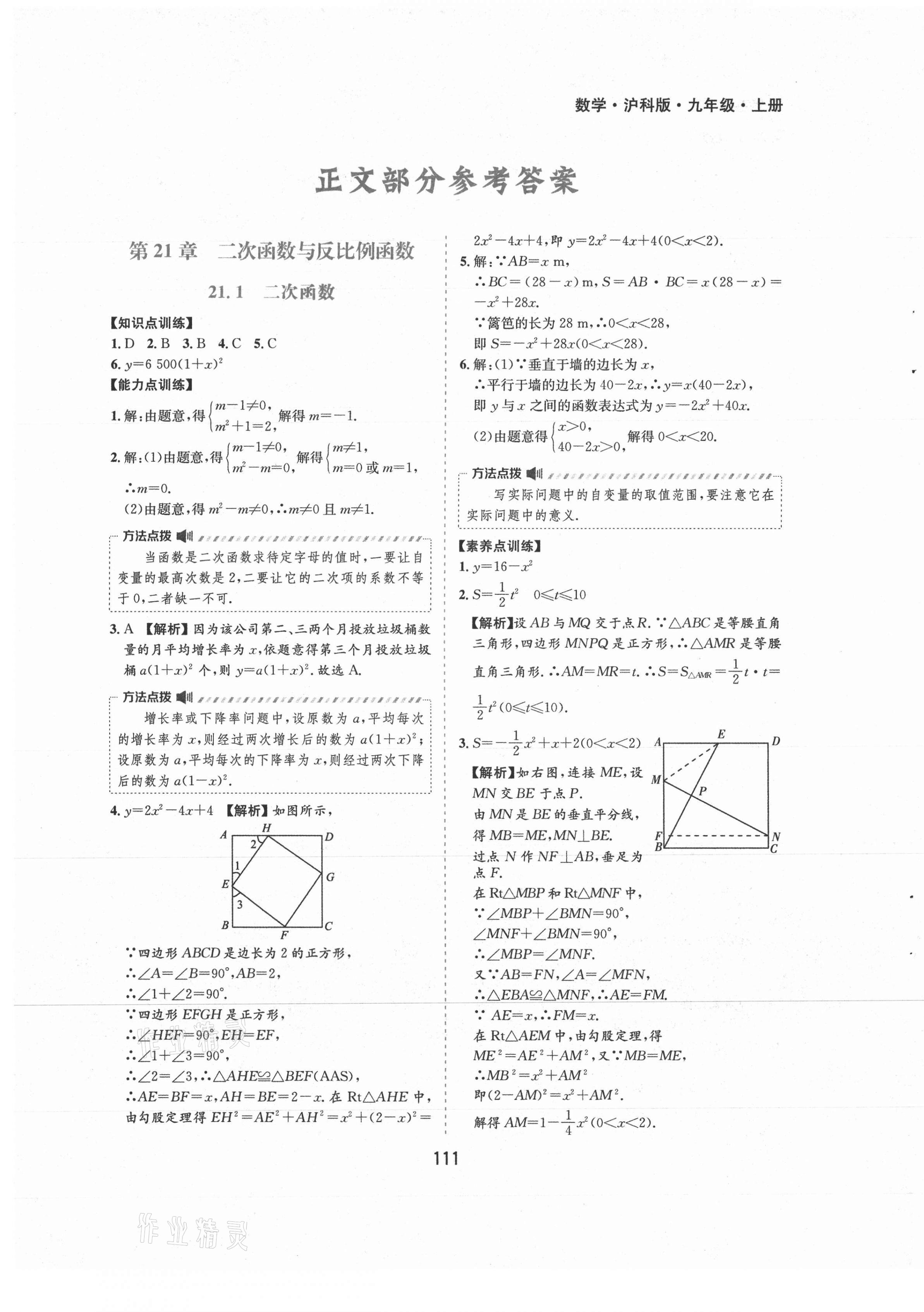 2021年新編基礎訓練九年級數(shù)學上冊滬科版黃山書社 第1頁