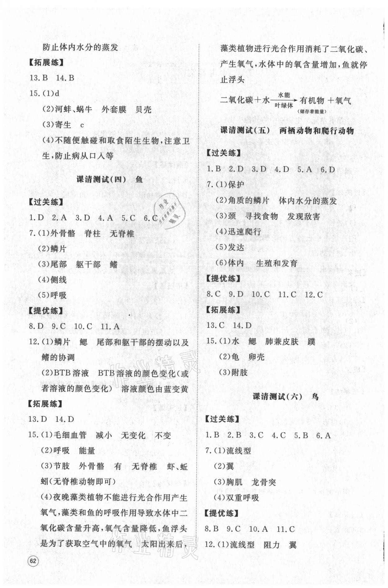 2021年伴你學(xué)同步練習(xí)冊提優(yōu)測試卷八年級生物上冊人教版 第2頁