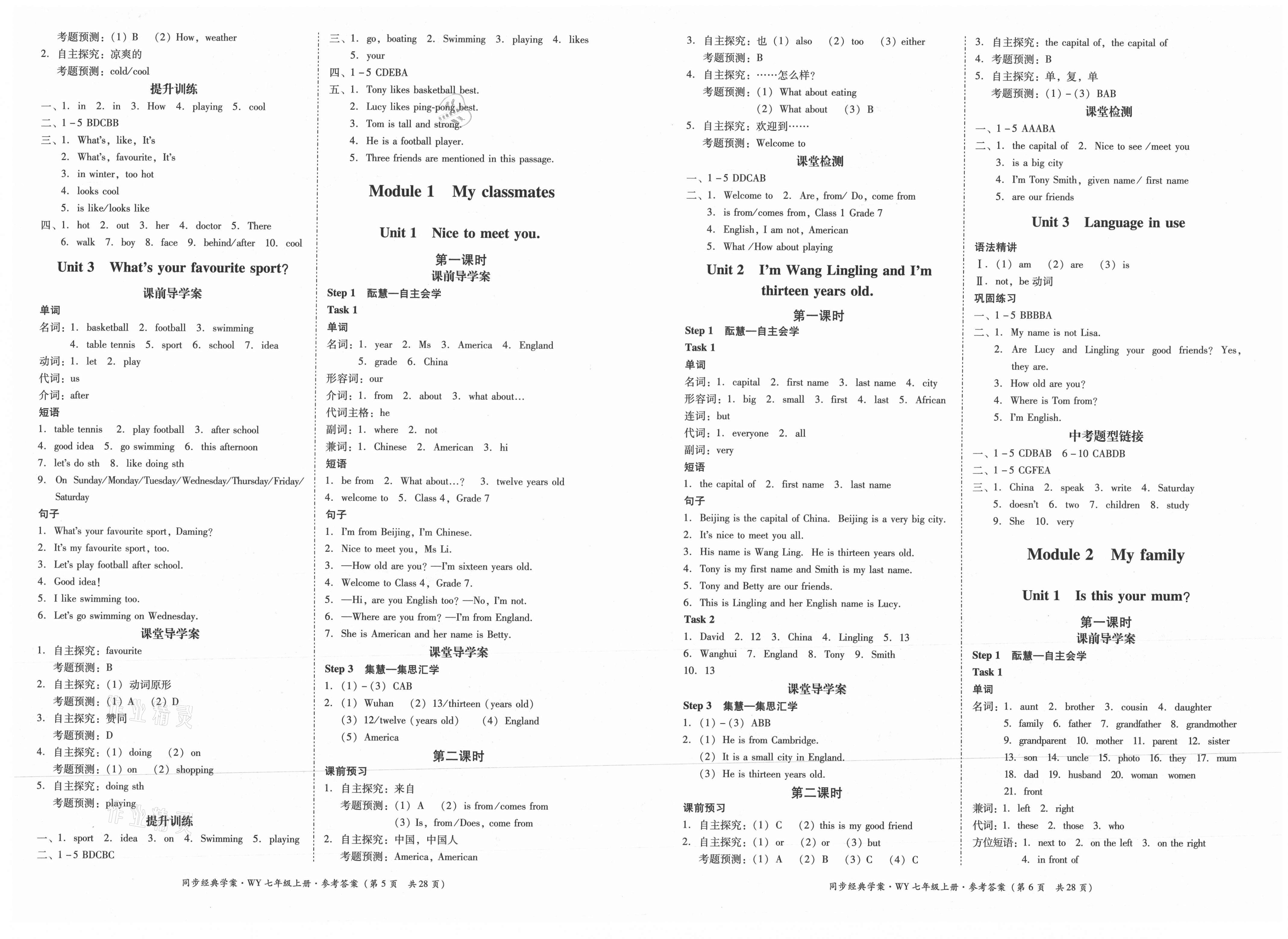 2021年同步經(jīng)典學(xué)案七年級(jí)英語(yǔ)上冊(cè)外研版 第3頁(yè)