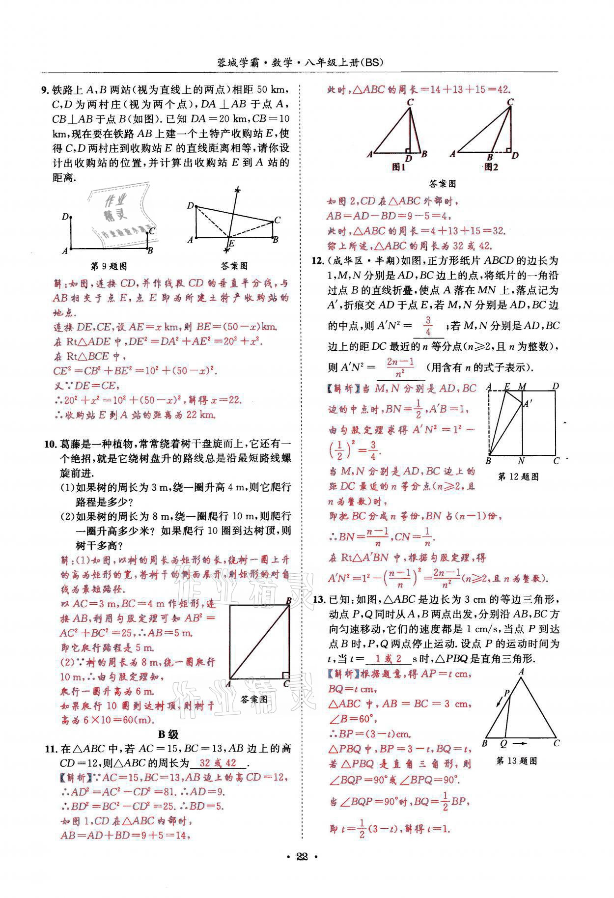 2021年蓉城学霸八年级数学上册北师大版 参考答案第22页