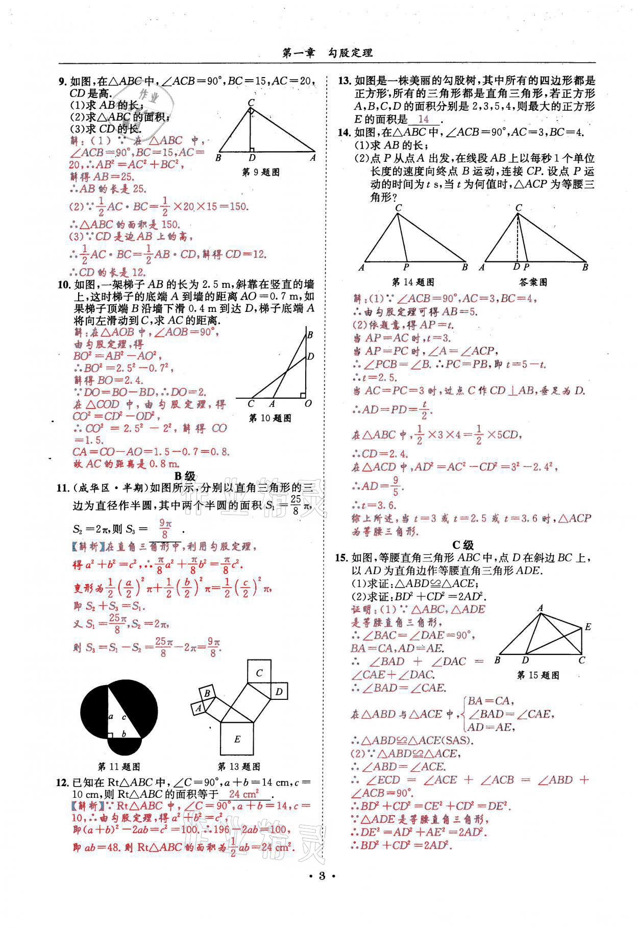 2021年蓉城学霸八年级数学上册北师大版 参考答案第3页