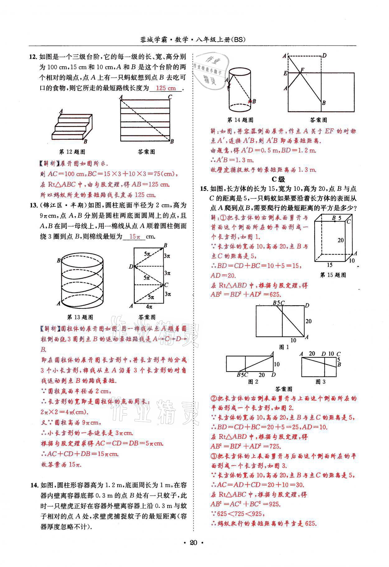 2021年蓉城学霸八年级数学上册北师大版 参考答案第20页