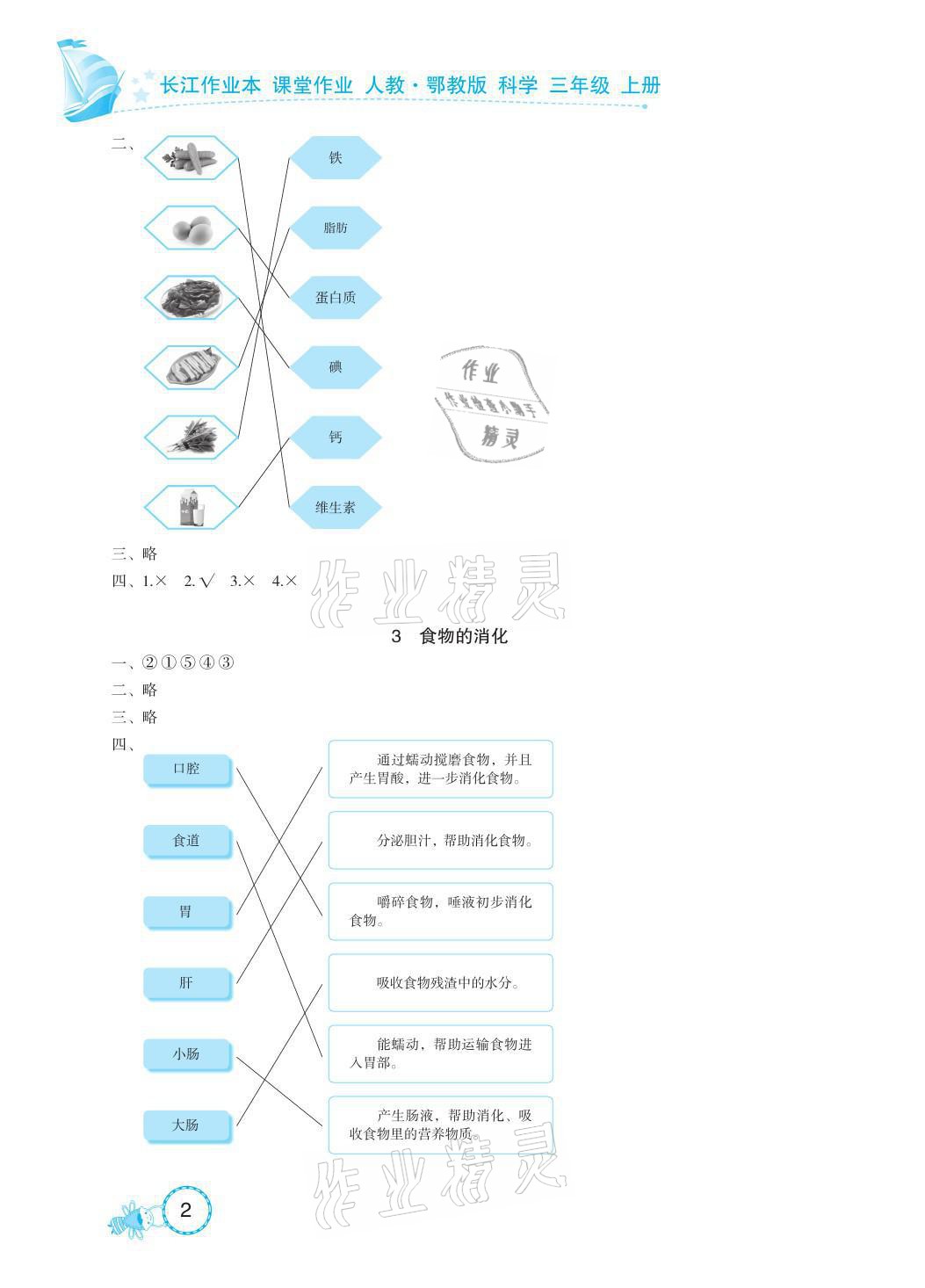 2021年長江作業(yè)本課堂作業(yè)三年級科學上冊鄂教版 參考答案第2頁