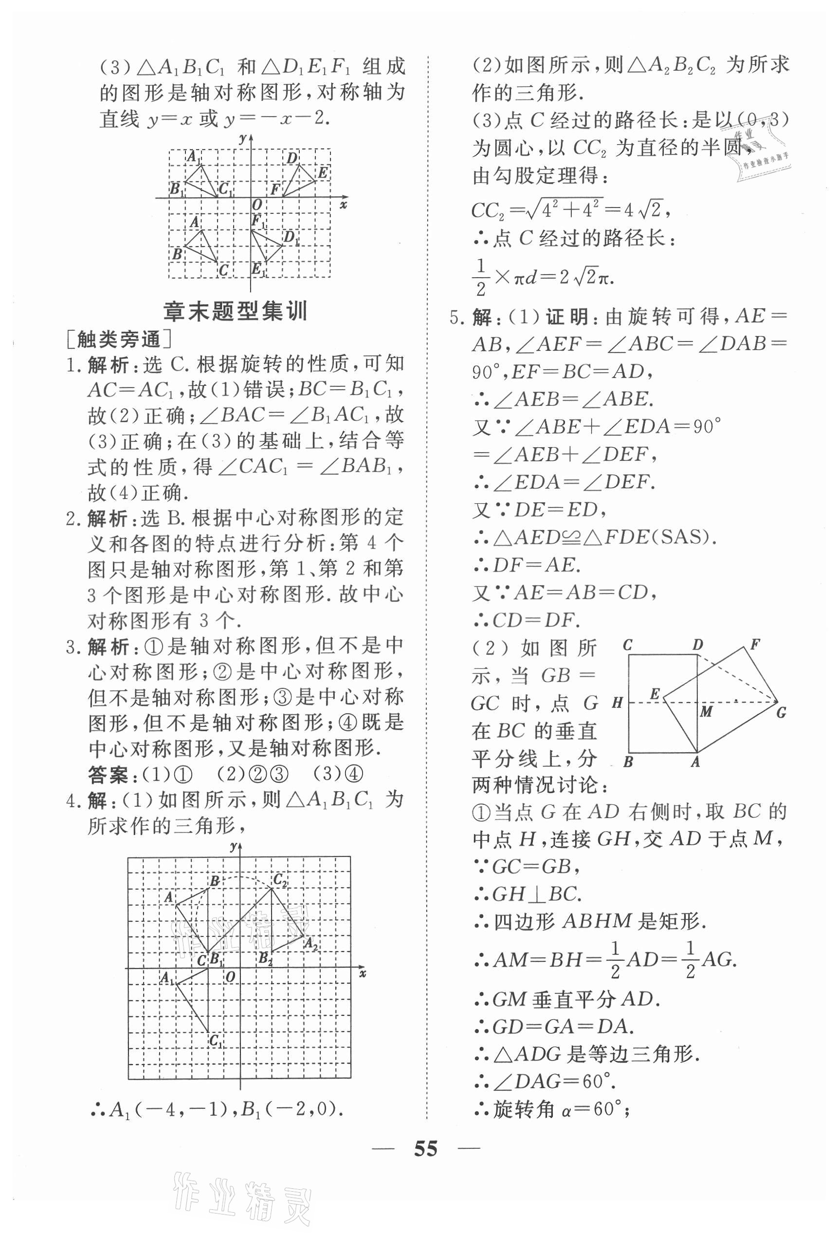 2021年新坐标同步练习九年级数学上册人教版青海专用 参考答案第5页