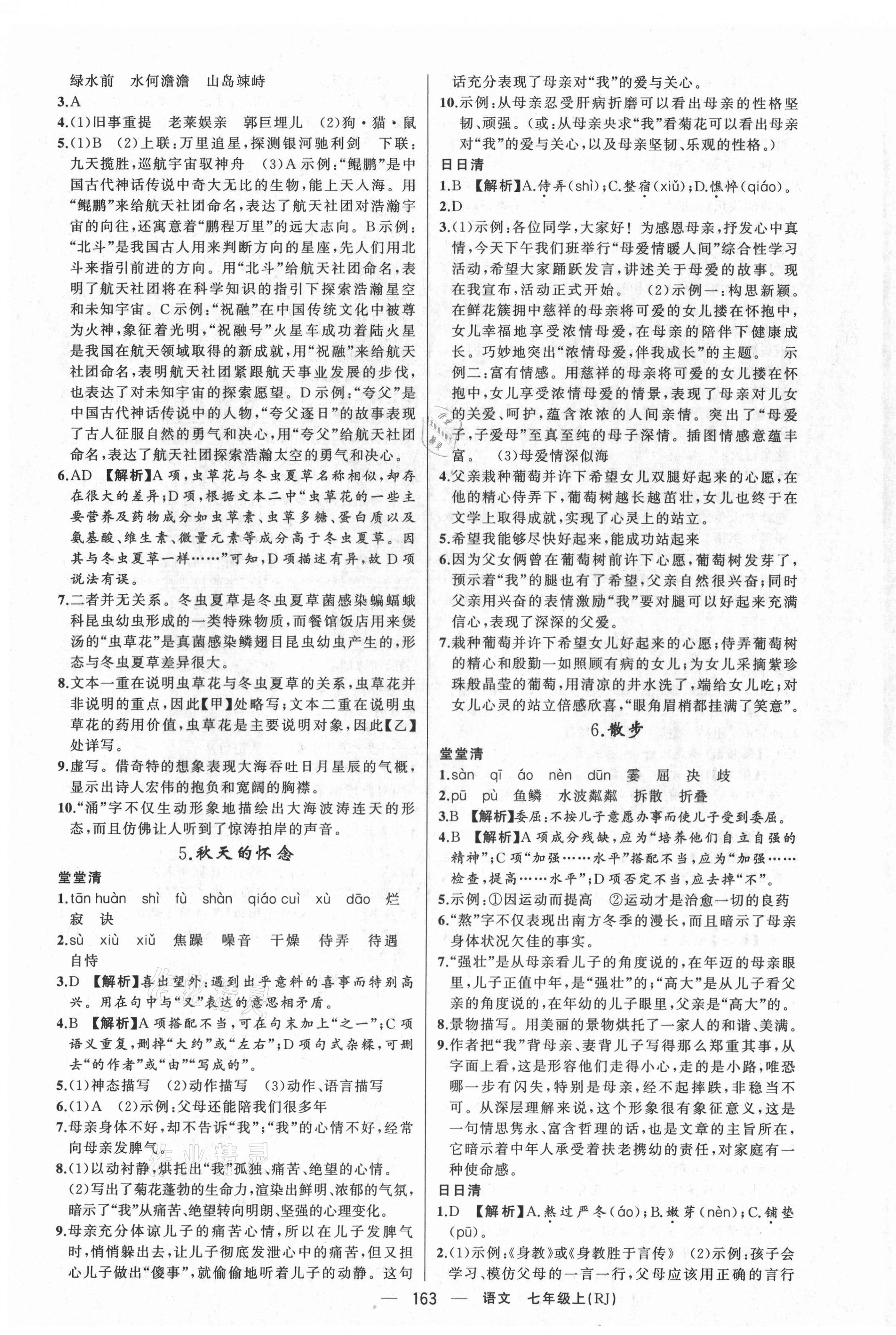 2021年四清導(dǎo)航七年級(jí)語文上冊(cè)人教版河南專版 第3頁