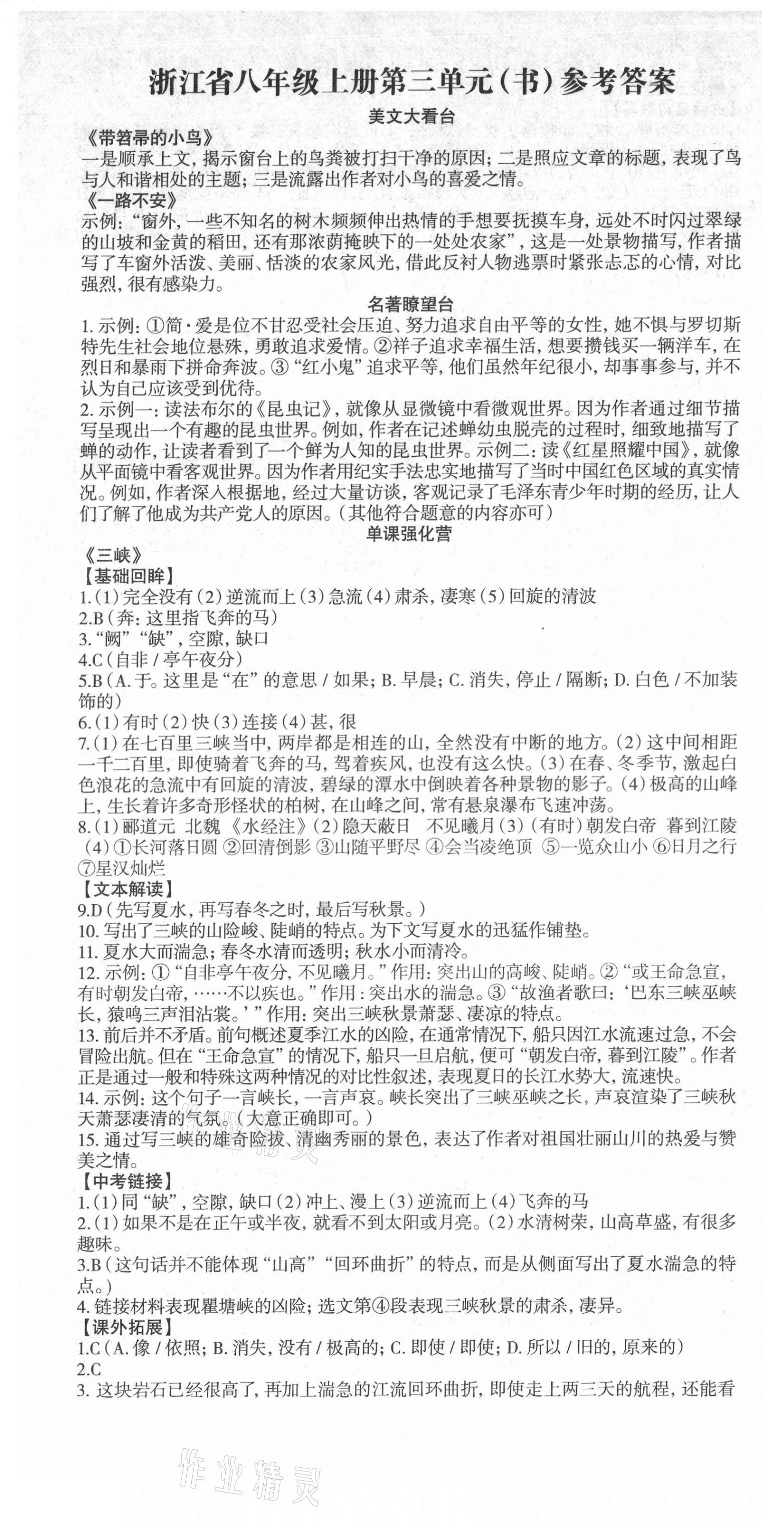 2021年智慧語文讀練測八年級上冊人教版浙江專版 參考答案第3頁