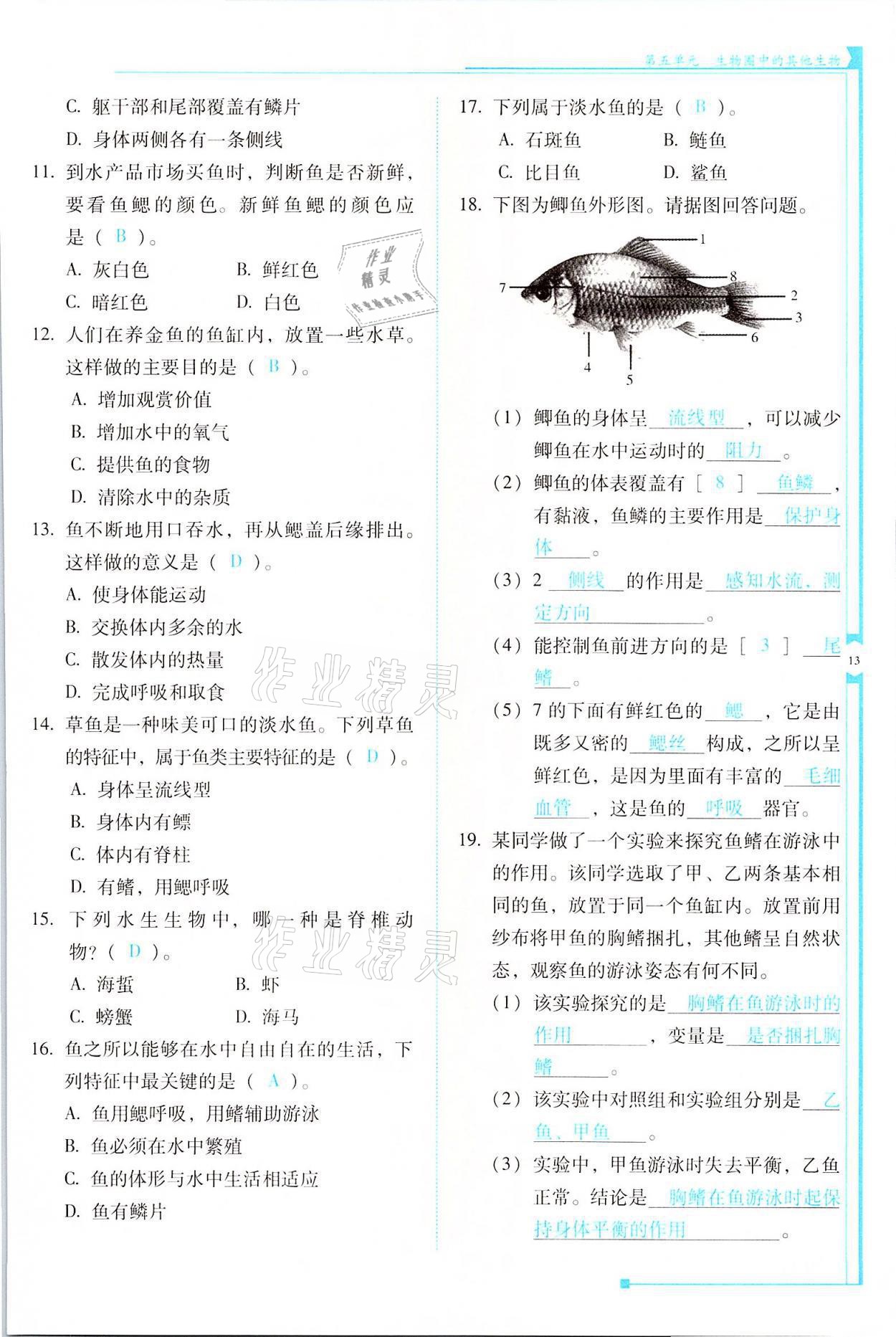 2021年云南省標(biāo)準(zhǔn)教輔優(yōu)佳學(xué)案八年級(jí)生物全一冊(cè)人教版 參考答案第13頁(yè)