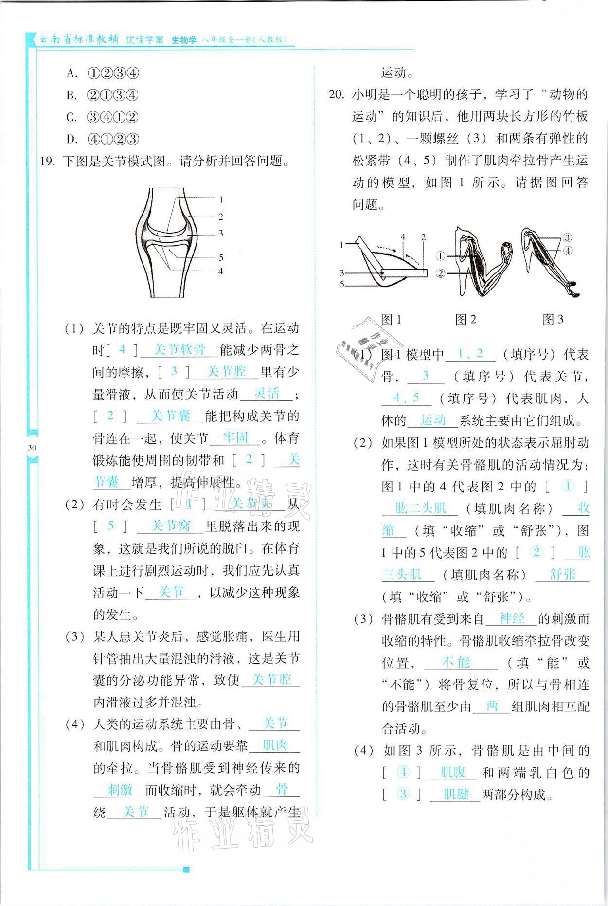 2021年云南省标准教辅优佳学案八年级生物全一册人教版 参考答案第30页