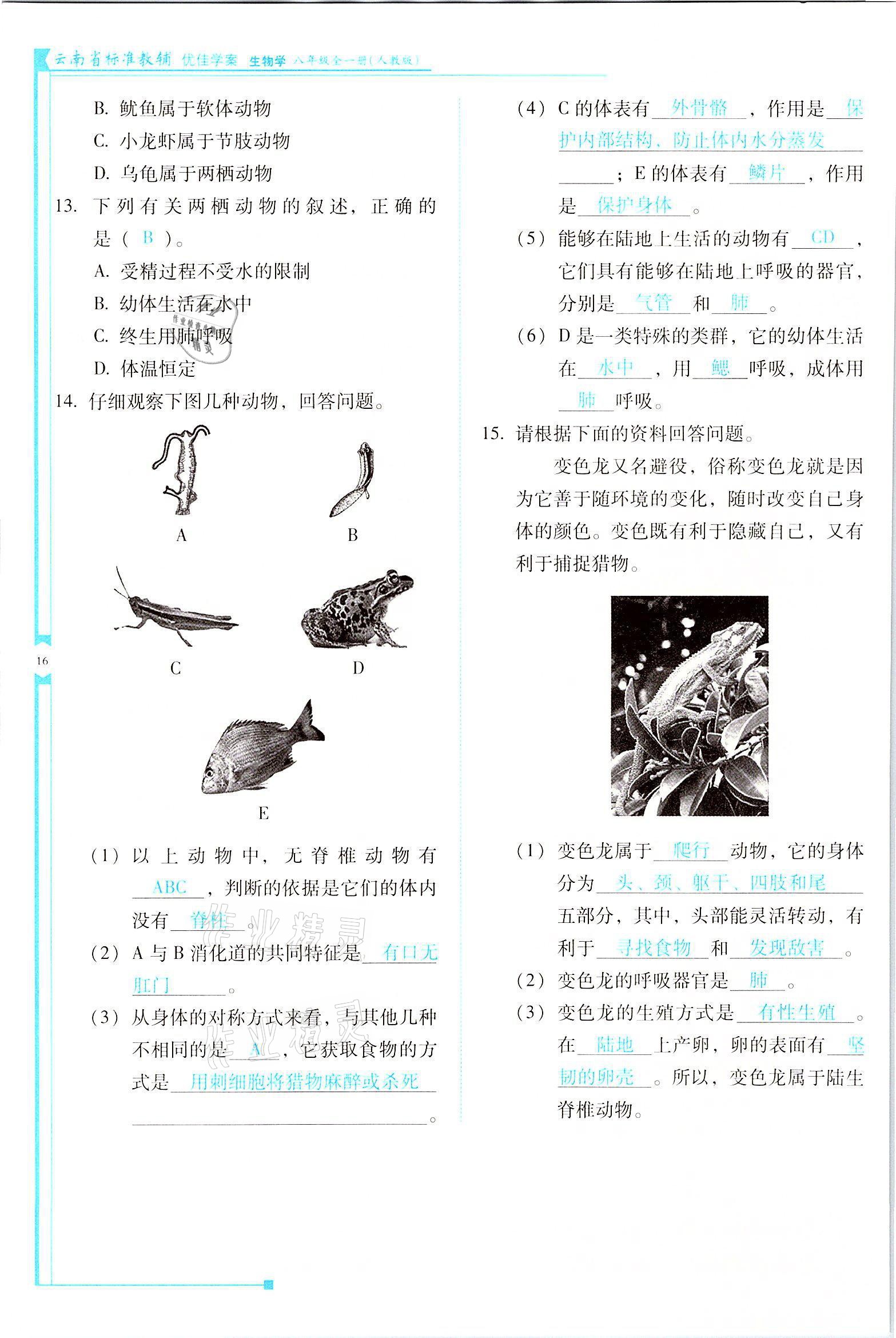 2021年云南省標(biāo)準(zhǔn)教輔優(yōu)佳學(xué)案八年級生物全一冊人教版 參考答案第16頁