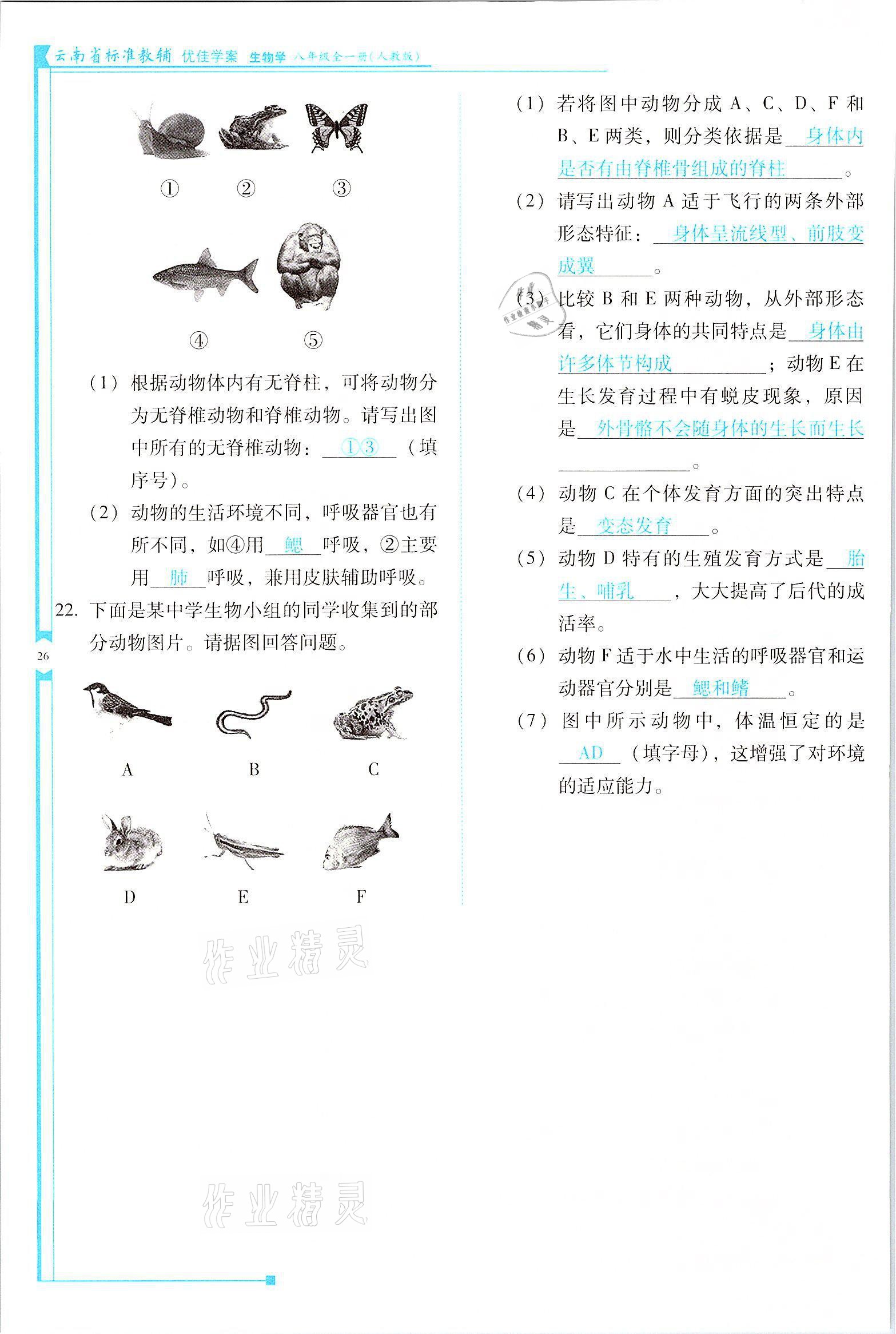 2021年云南省標準教輔優(yōu)佳學(xué)案八年級生物全一冊人教版 參考答案第26頁