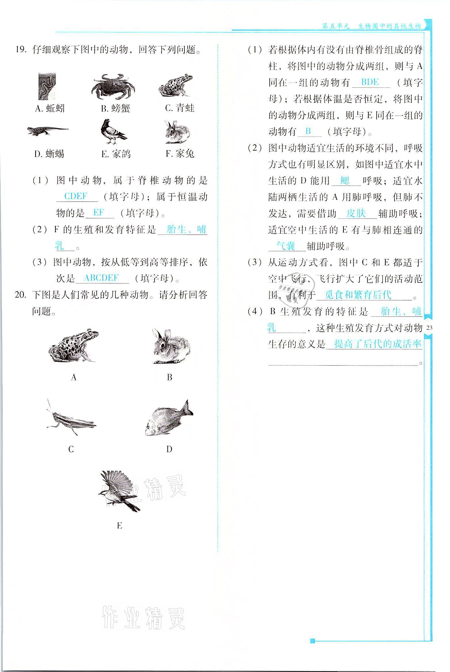 2021年云南省标准教辅优佳学案八年级生物全一册人教版 参考答案第23页