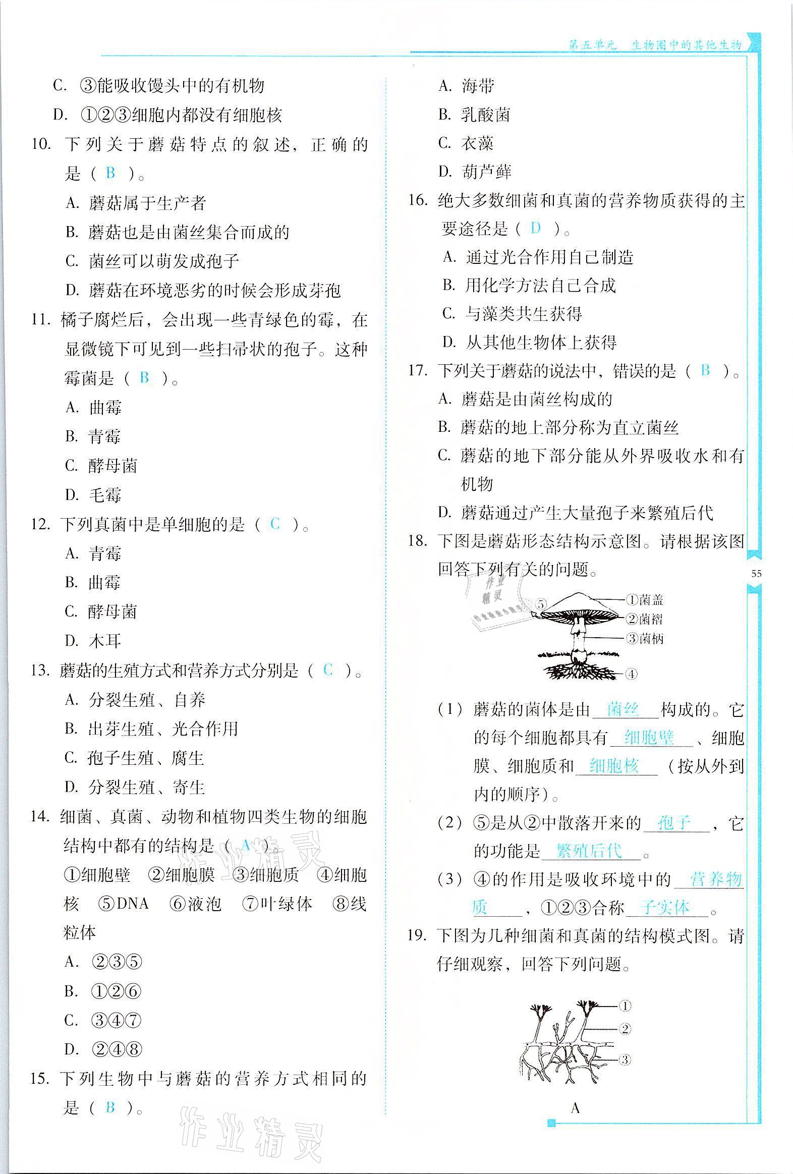 2021年云南省标准教辅优佳学案八年级生物全一册人教版 参考答案第55页