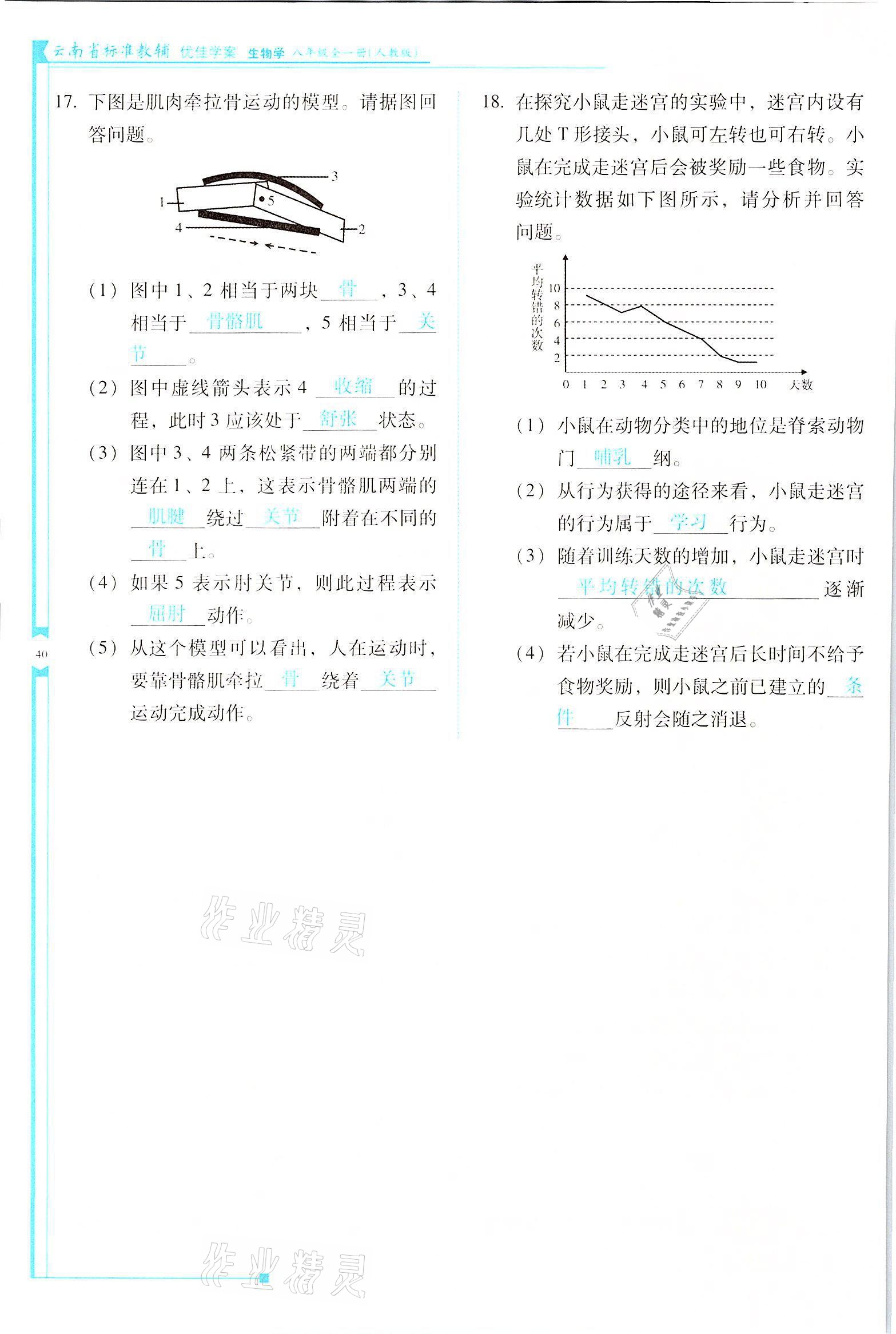 2021年云南省标准教辅优佳学案八年级生物全一册人教版 参考答案第40页