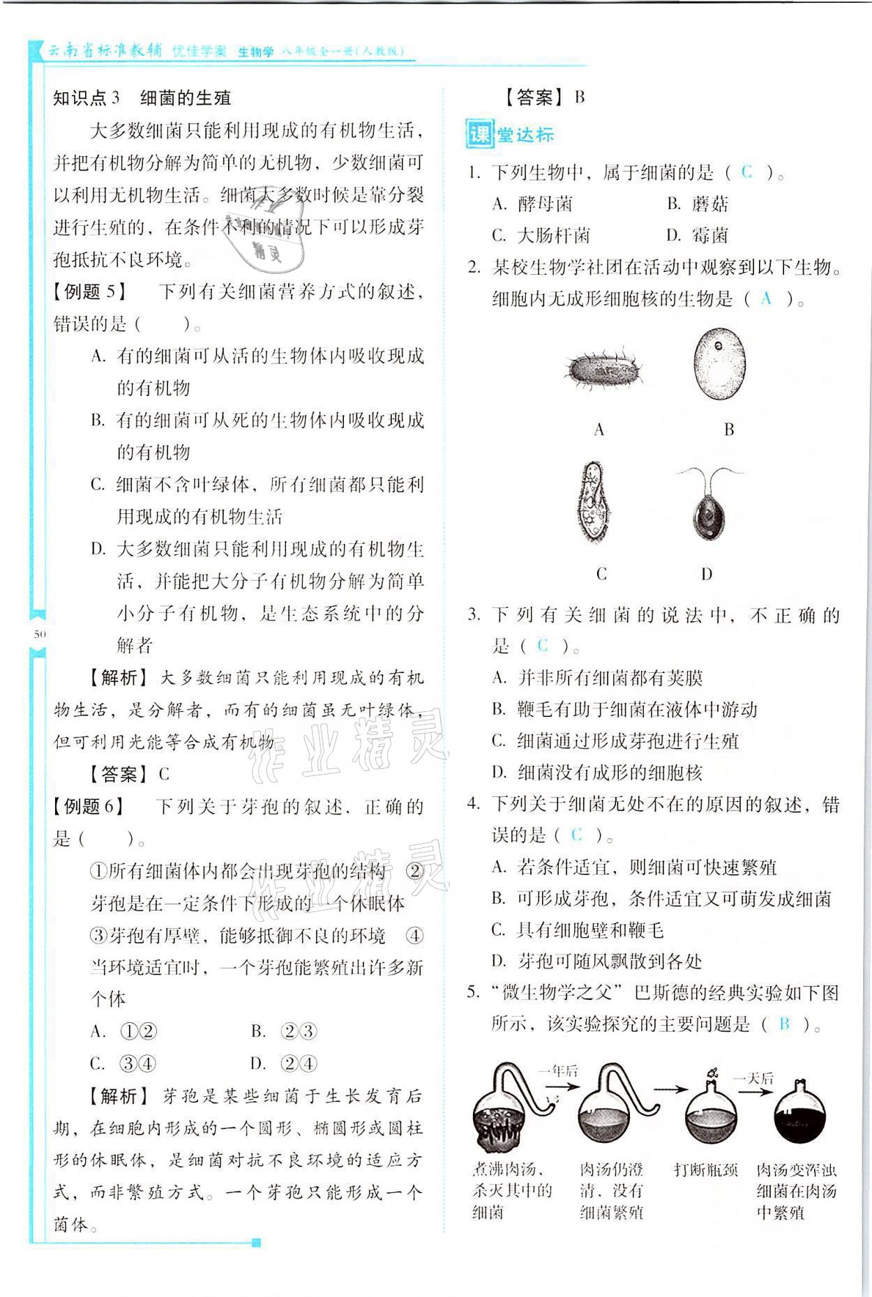 2021年云南省標準教輔優(yōu)佳學案八年級生物全一冊人教版 參考答案第50頁