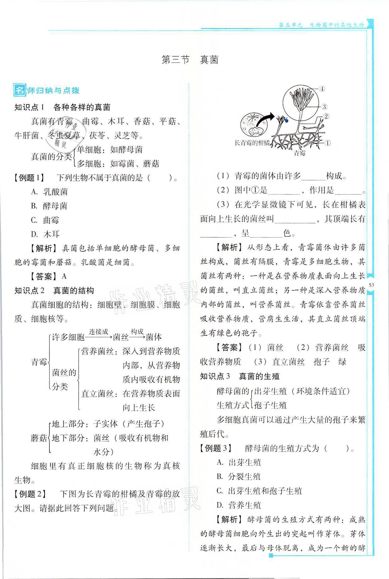 2021年云南省標(biāo)準(zhǔn)教輔優(yōu)佳學(xué)案八年級生物全一冊人教版 參考答案第53頁