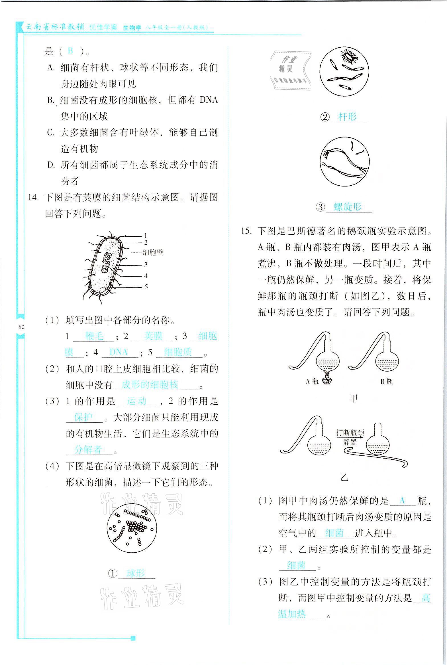 2021年云南省標(biāo)準(zhǔn)教輔優(yōu)佳學(xué)案八年級(jí)生物全一冊(cè)人教版 參考答案第52頁