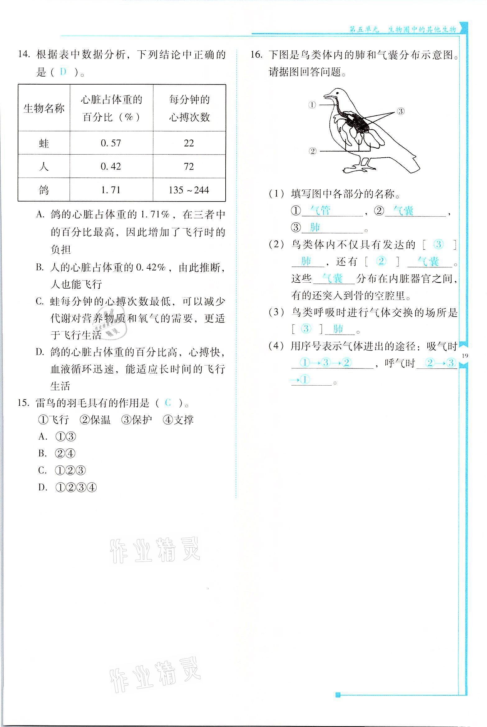 2021年云南省标准教辅优佳学案八年级生物全一册人教版 参考答案第19页