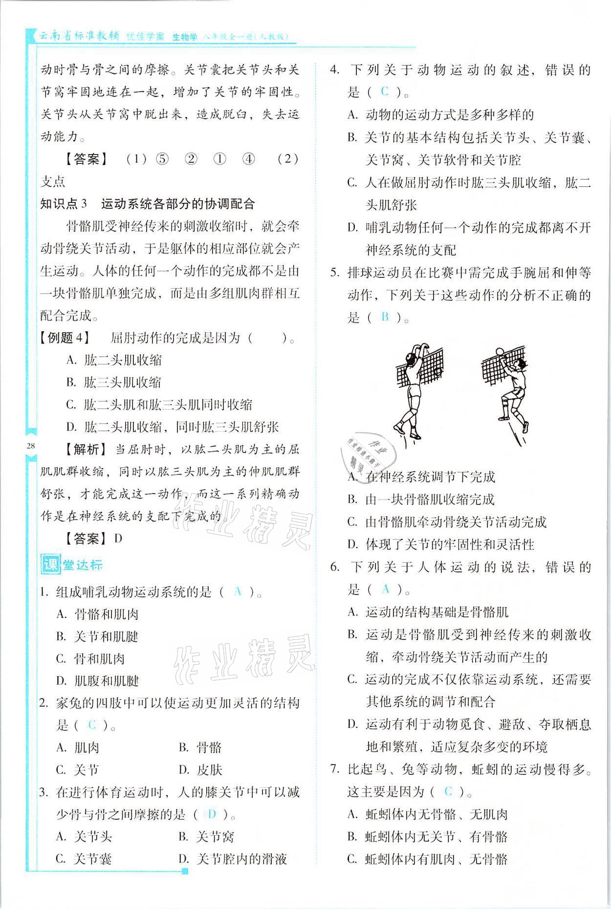 2021年云南省標(biāo)準(zhǔn)教輔優(yōu)佳學(xué)案八年級(jí)生物全一冊(cè)人教版 參考答案第28頁