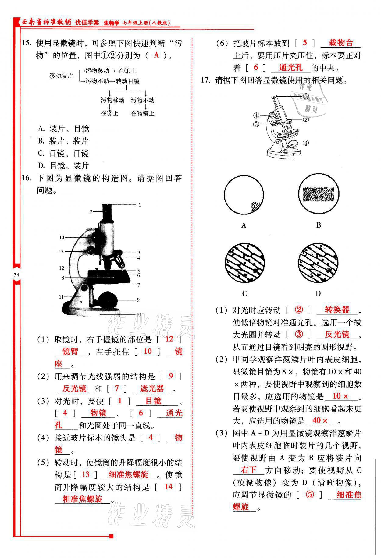 2021年云南省標(biāo)準(zhǔn)教輔優(yōu)佳學(xué)案七年級(jí)生物上冊(cè)人教版 參考答案第34頁(yè)