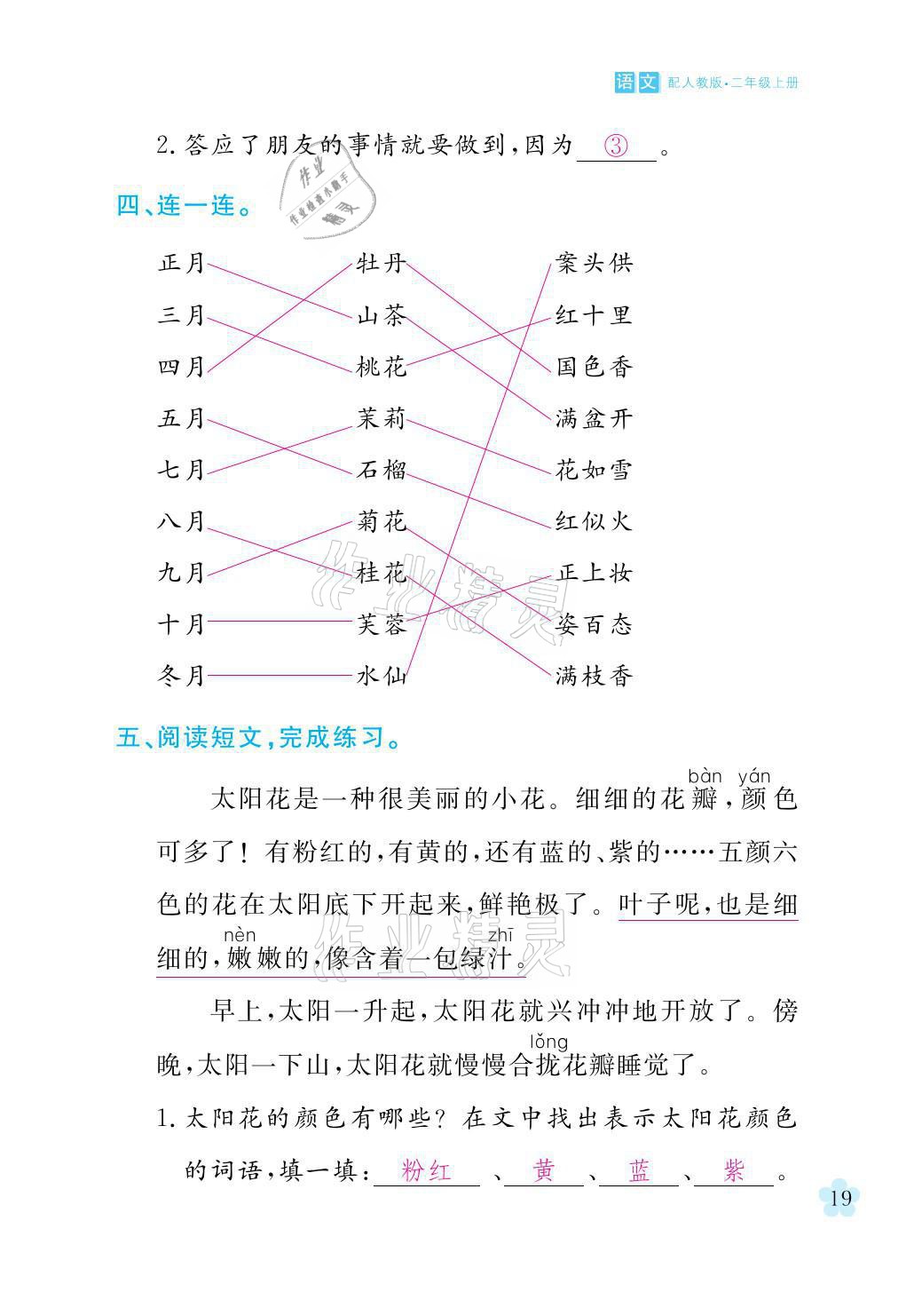 2021年芝麻开花课程新体验二年级语文上册人教版 参考答案第19页