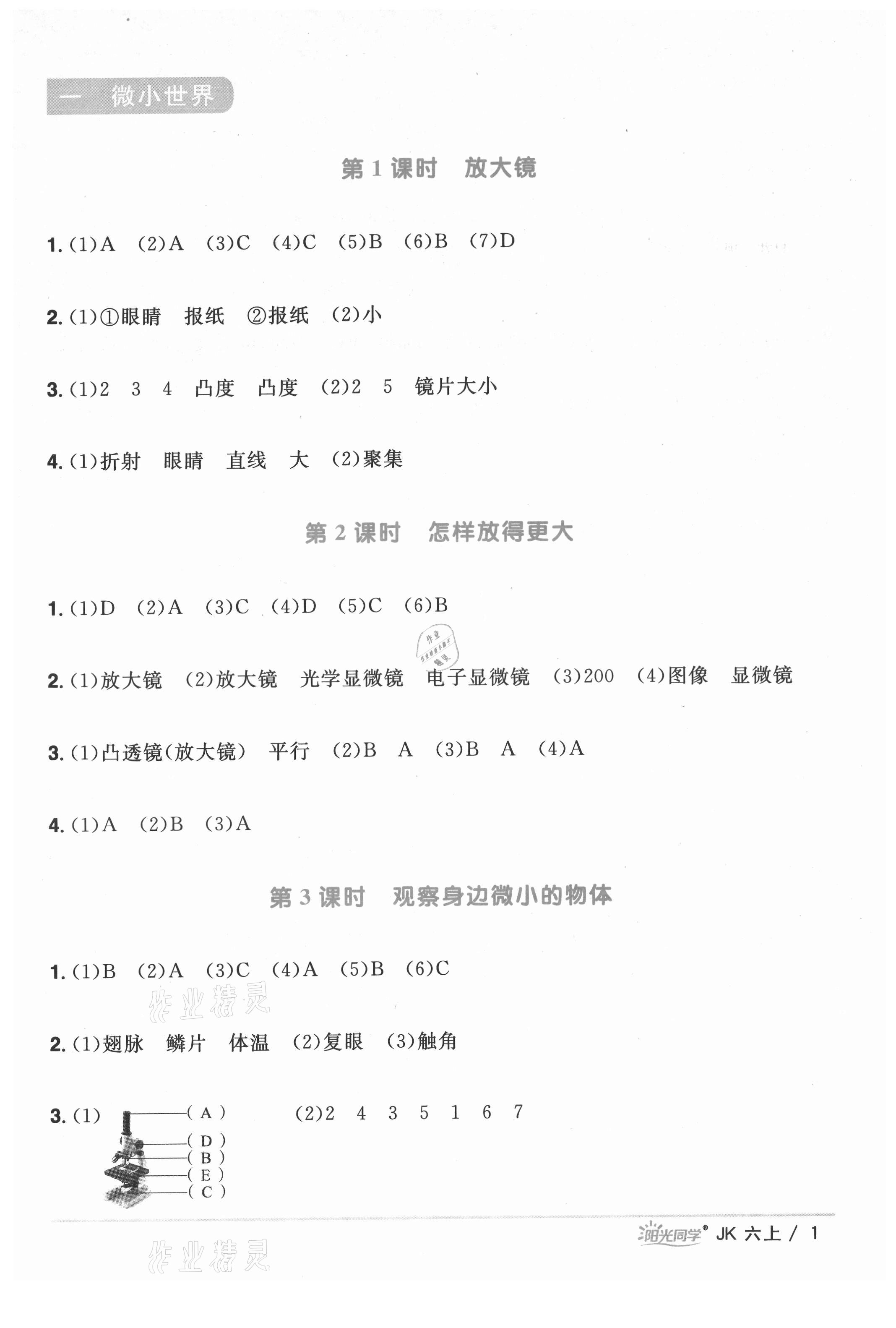 2021年阳光同学课时优化作业六年级科学上册教科版 第1页