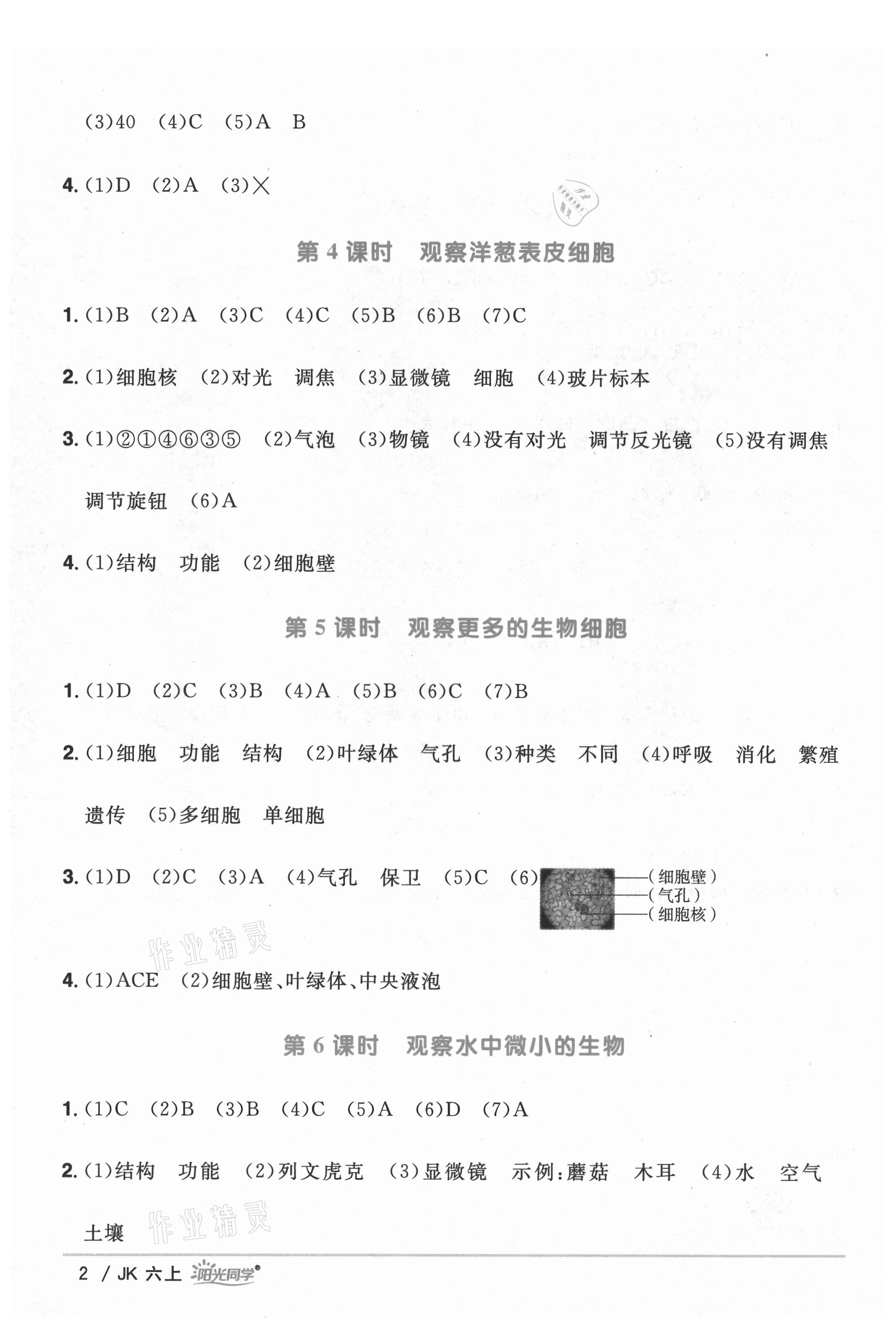 2021年阳光同学课时优化作业六年级科学上册教科版 第2页