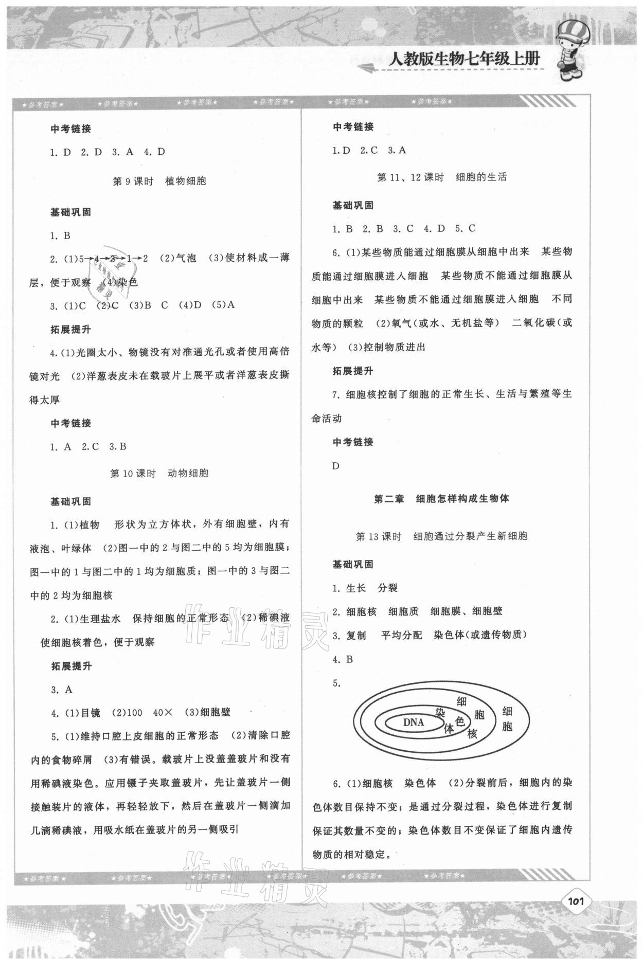 2021年同步實踐評價課程基礎(chǔ)訓(xùn)練湖南少年兒童出版社七年級生物上冊人教版 第3頁