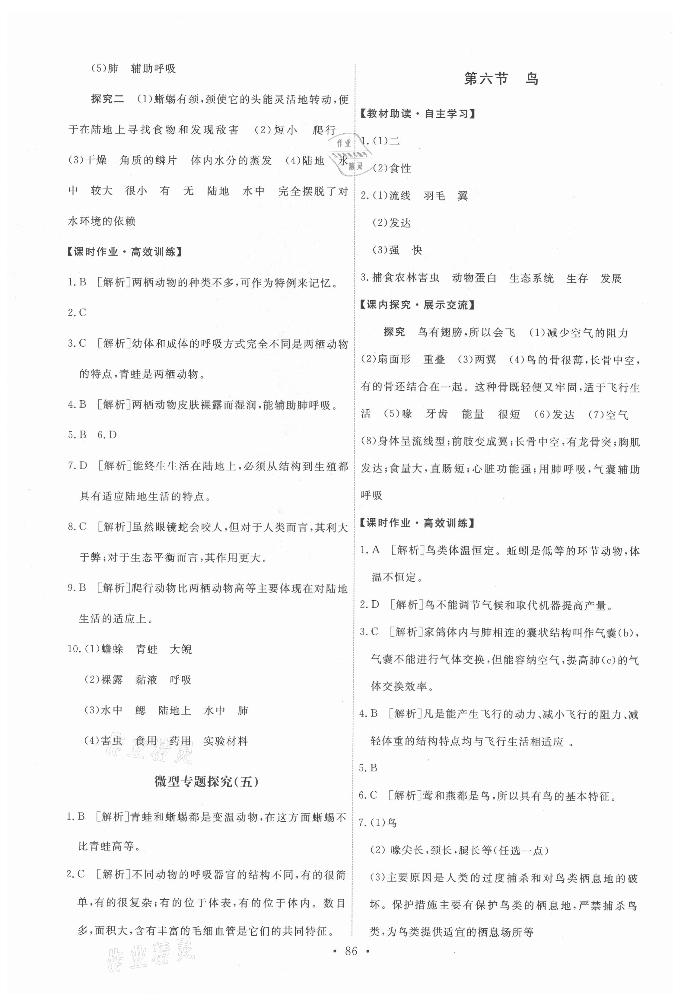 2021年能力培养与测试八年级生物上册人教版 第4页