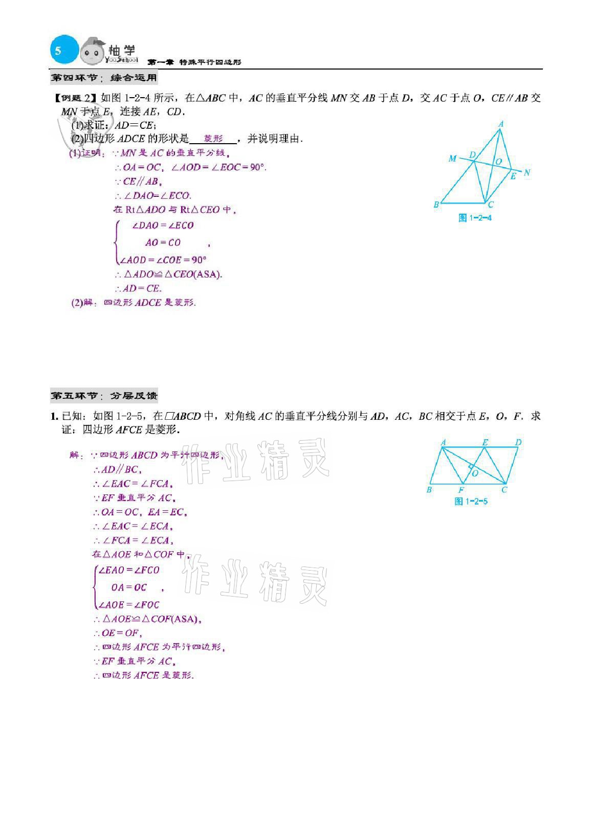 2021年慧學智評九年級數學上冊北師大版 參考答案第22頁