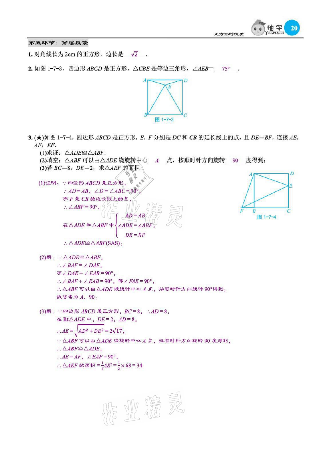 2021年慧學智評九年級數學上冊北師大版 參考答案第67頁
