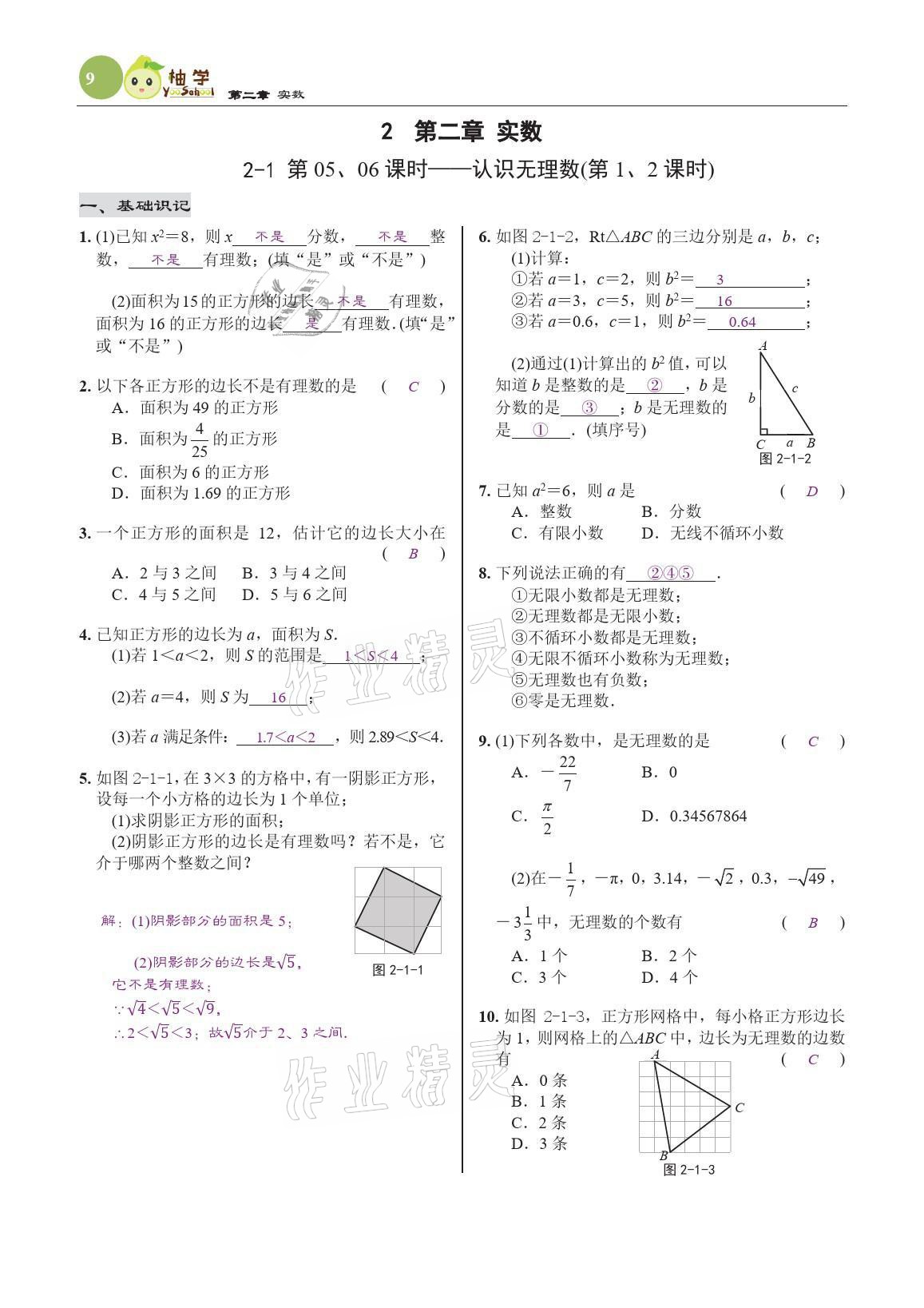 2021年慧學智評八年級數學上冊北師大版 參考答案第29頁