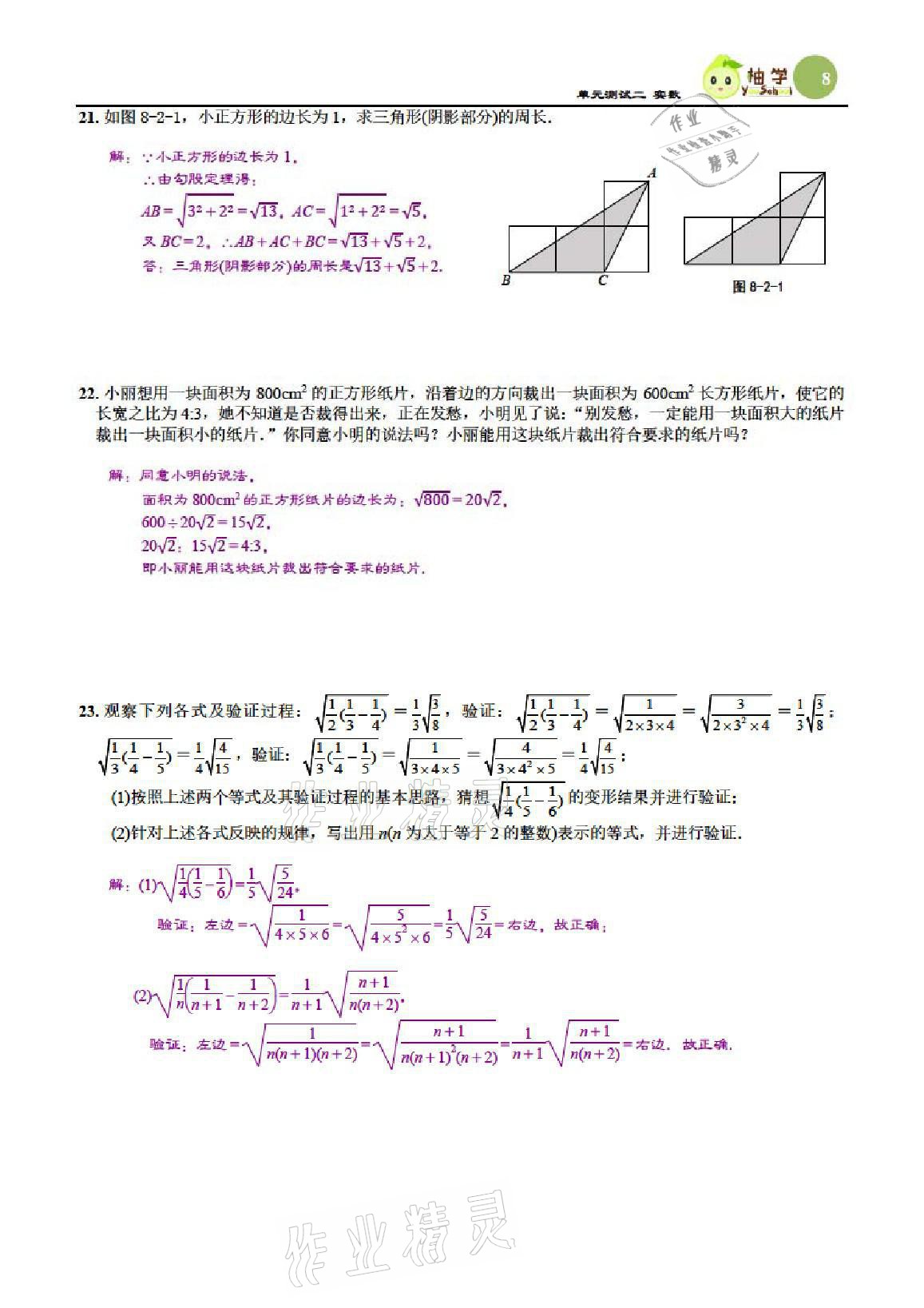 2021年慧學智評八年級數學上冊北師大版 參考答案第22頁