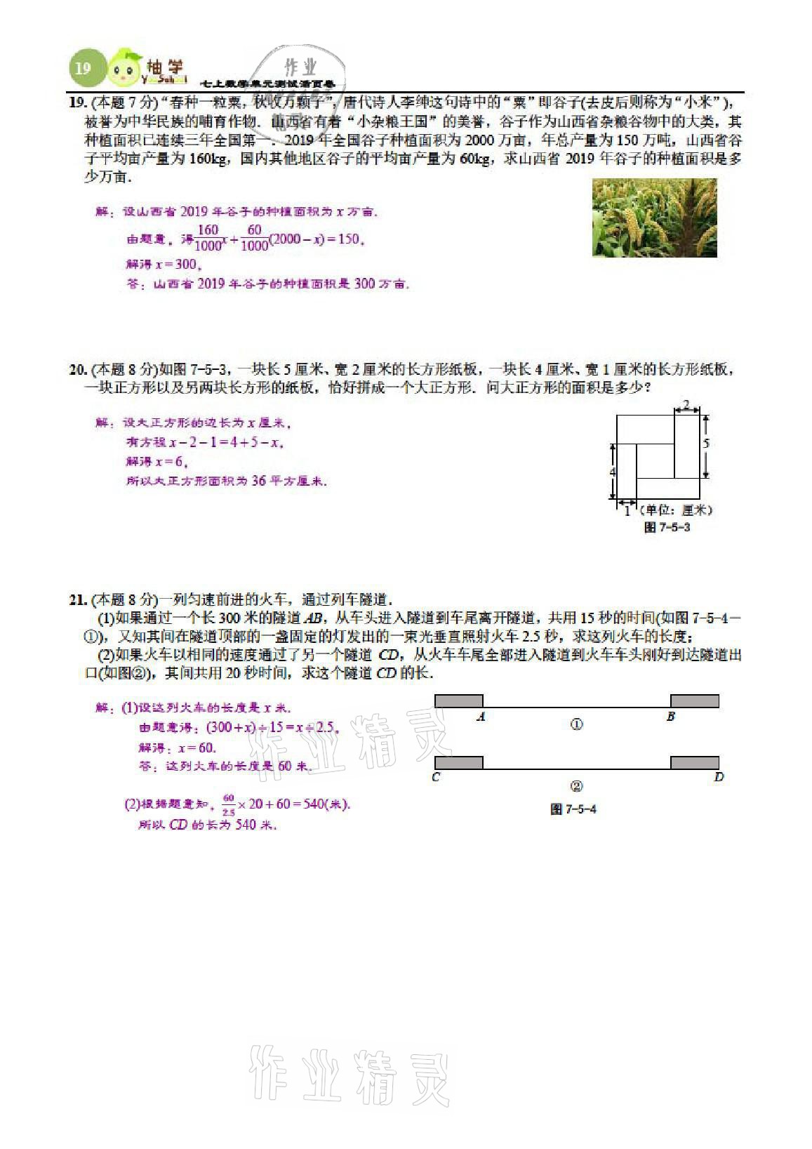 2021年慧學智評七年級數學上冊北師大版 參考答案第51頁