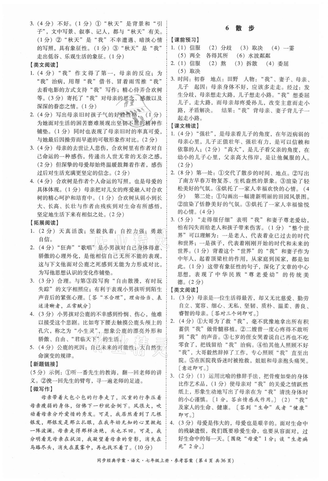 2021年同步經(jīng)典學案七年級語文上冊人教版 第4頁