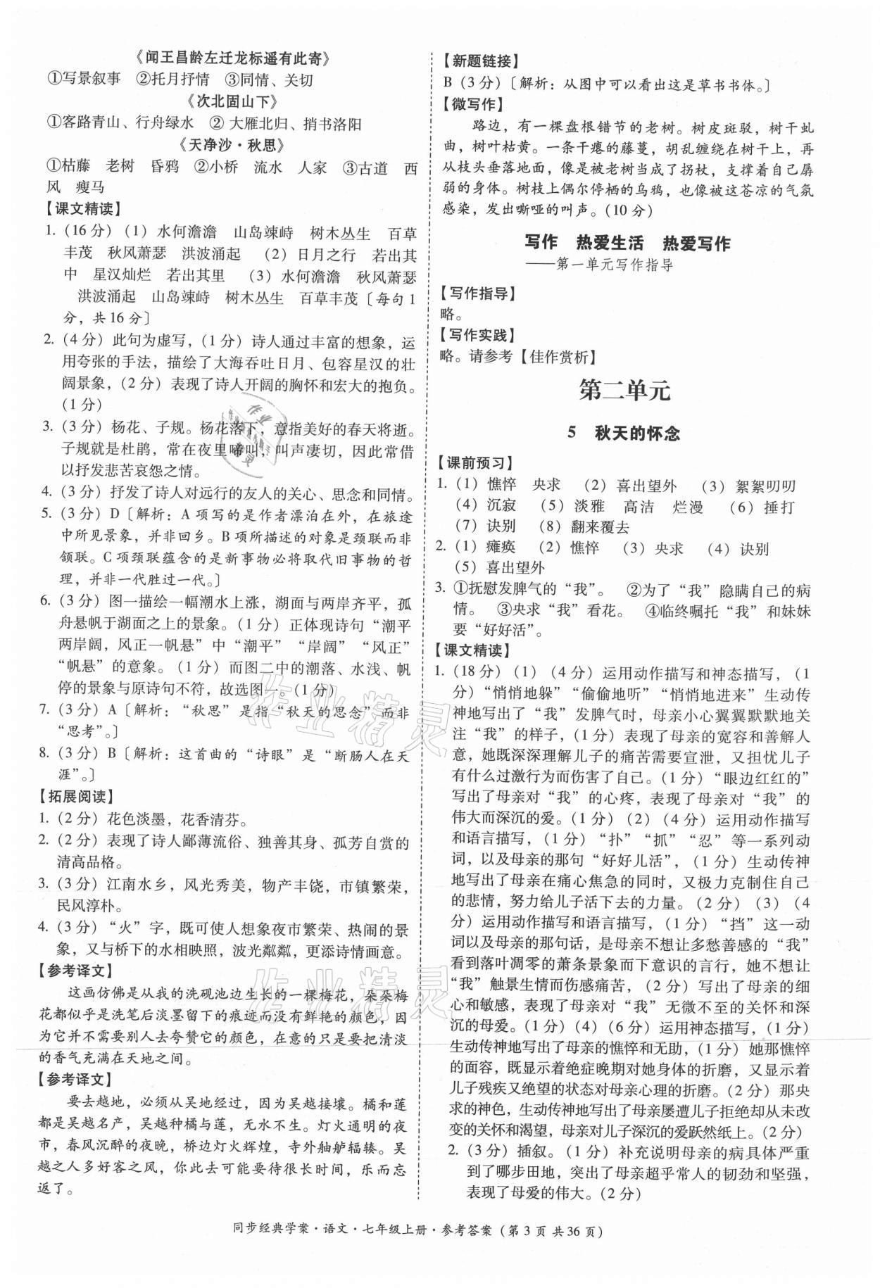 2021年同步經(jīng)典學案七年級語文上冊人教版 第3頁