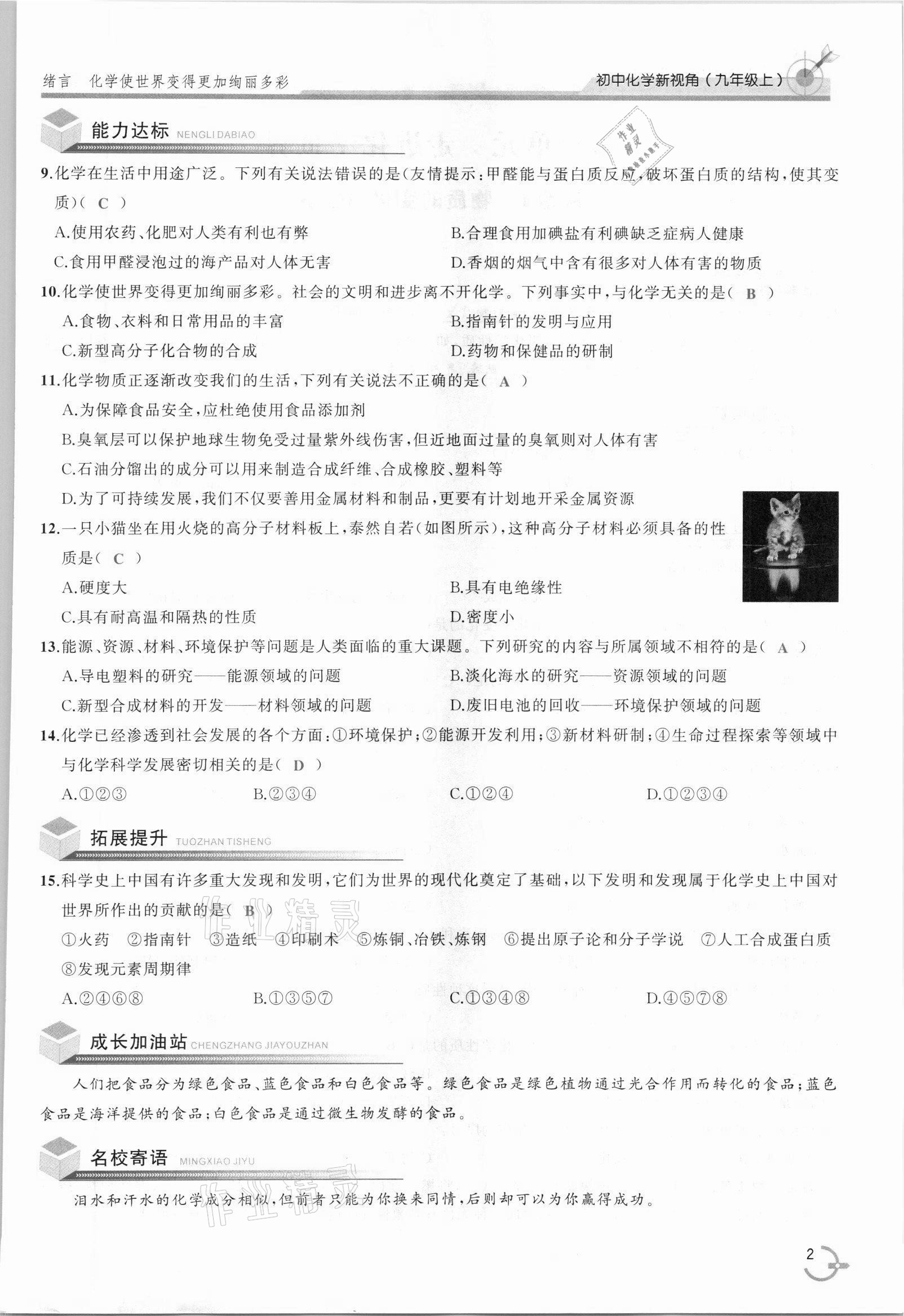 2021年新視角教輔系列叢書九年級化學(xué)上冊人教版 參考答案第2頁