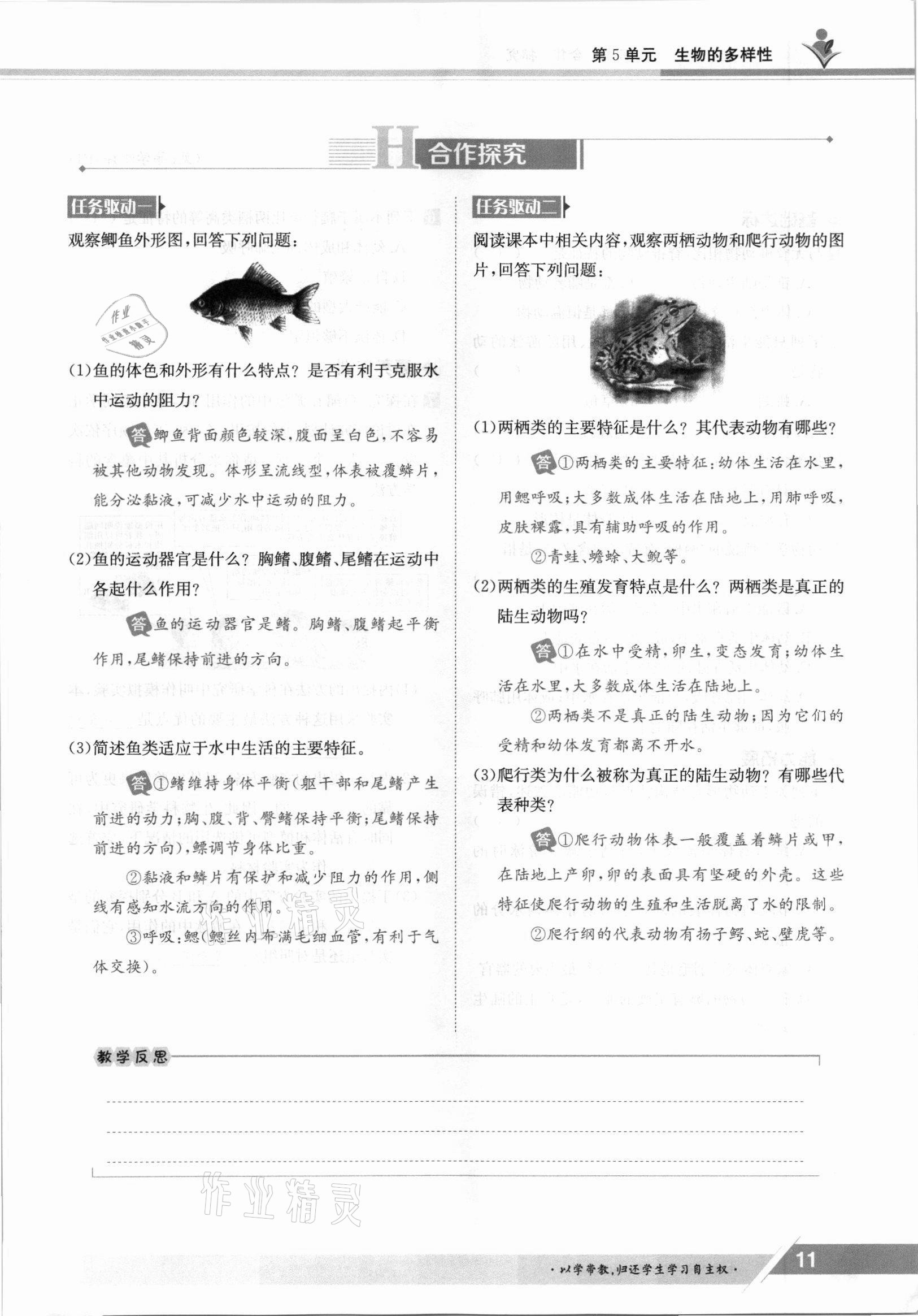 2021年金太阳导学案八年级生物上册苏教版 参考答案第11页