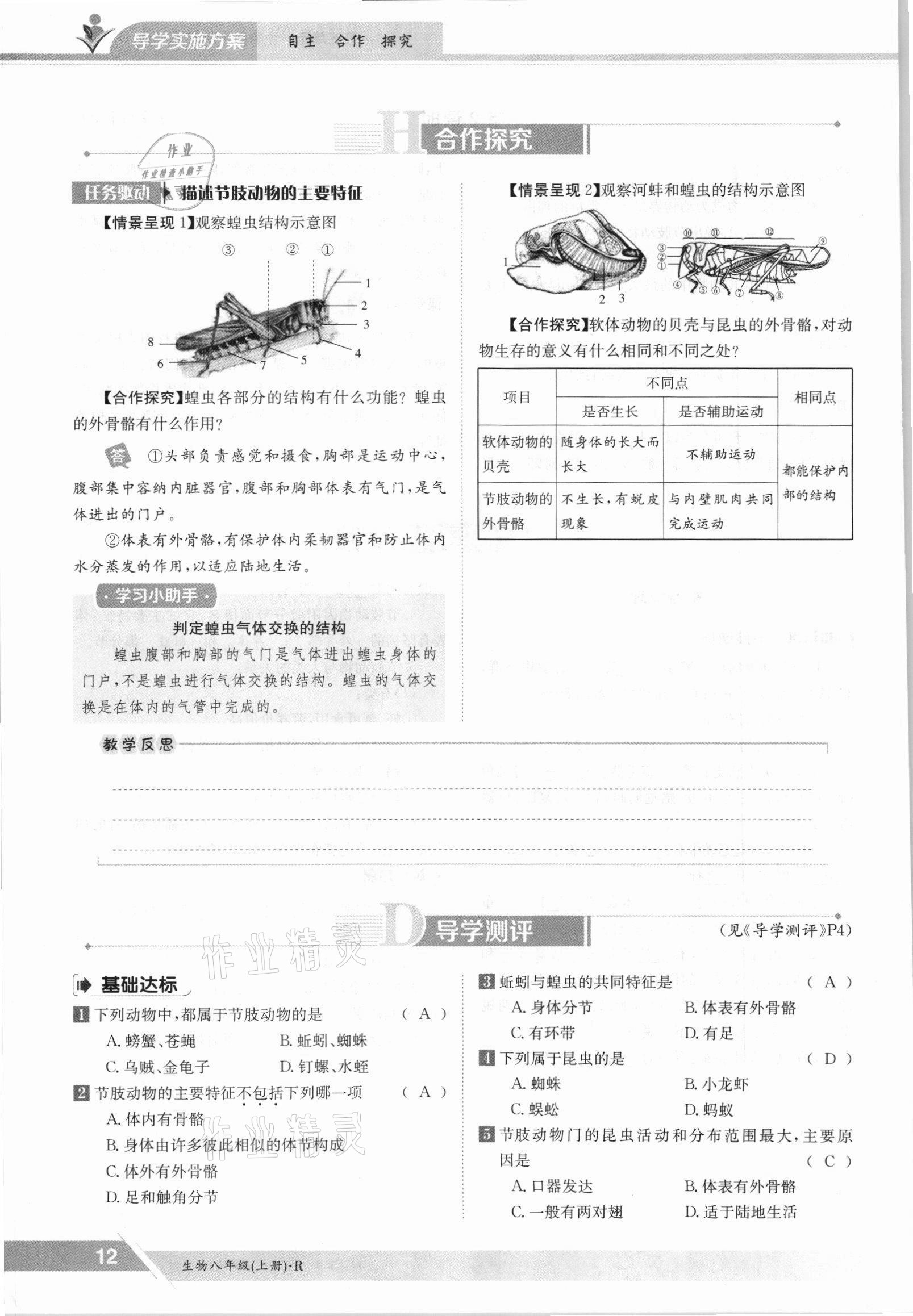 2021年金太陽導學案八年級生物上冊人教版 參考答案第12頁