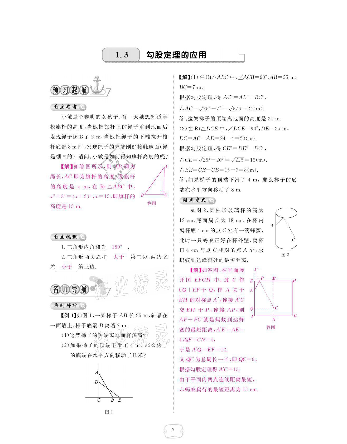 2021年領(lǐng)航新課標(biāo)練習(xí)冊八年級數(shù)學(xué)上冊北師大版 參考答案第7頁