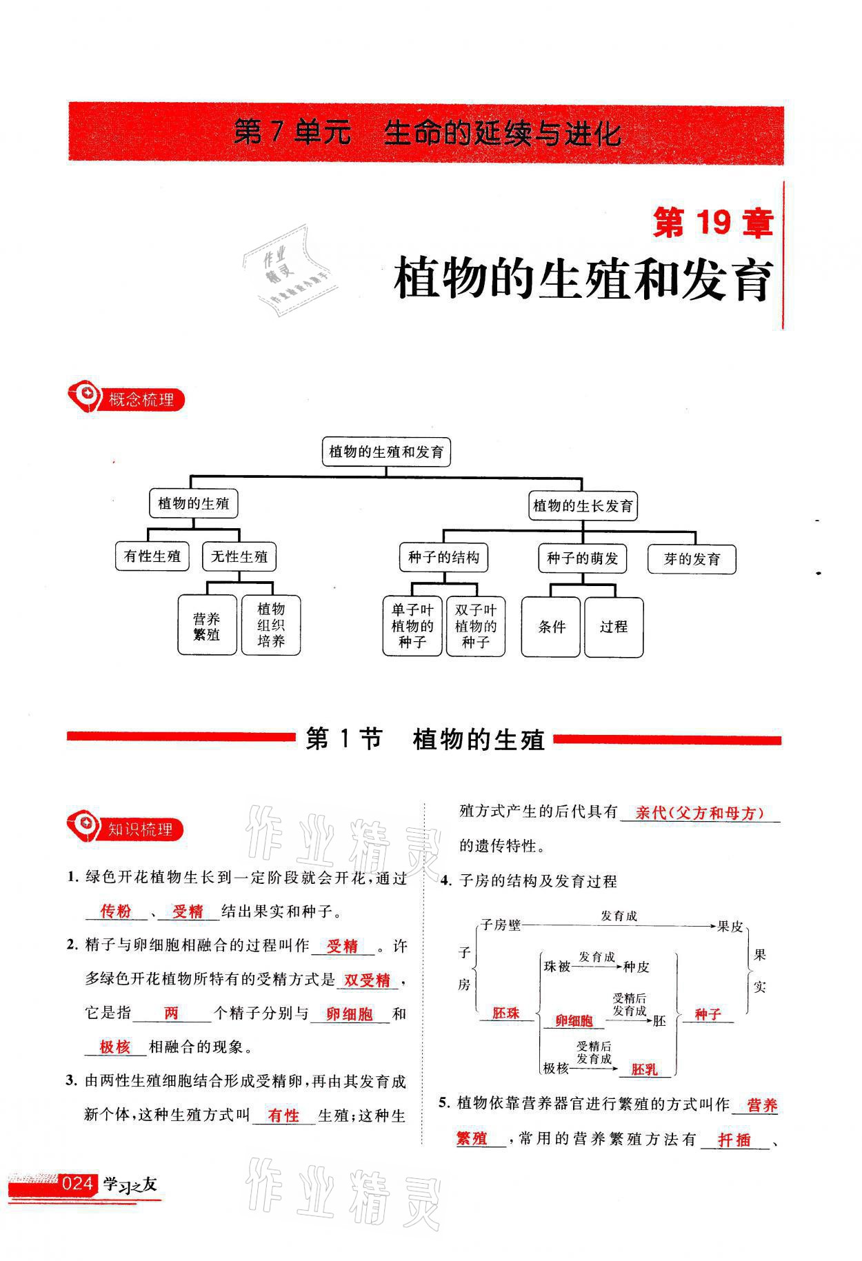 2021年学习之友八年级生物全一册苏科版 参考答案第24页