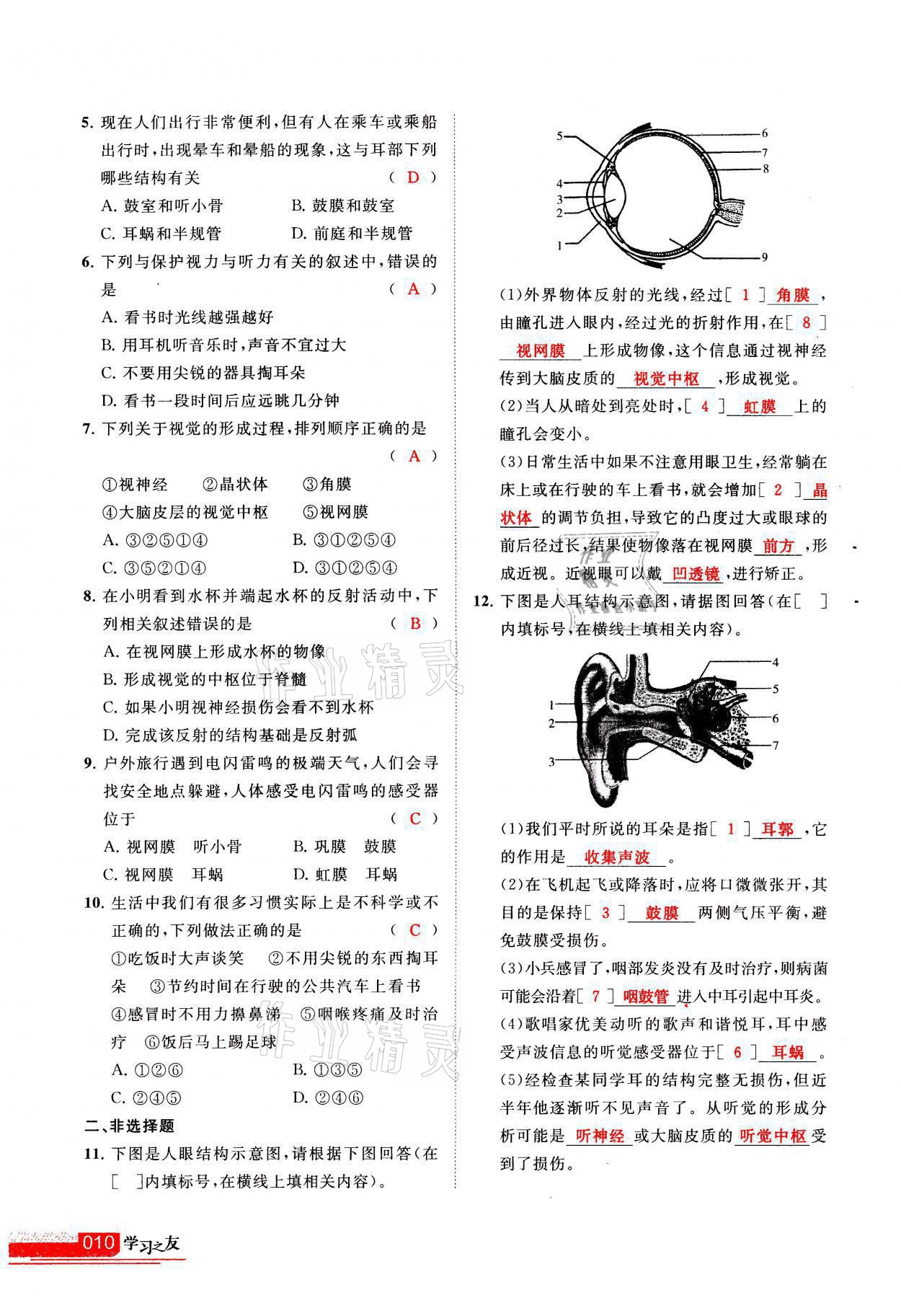 2021年學(xué)習(xí)之友八年級(jí)生物全一冊(cè)蘇科版 參考答案第10頁(yè)