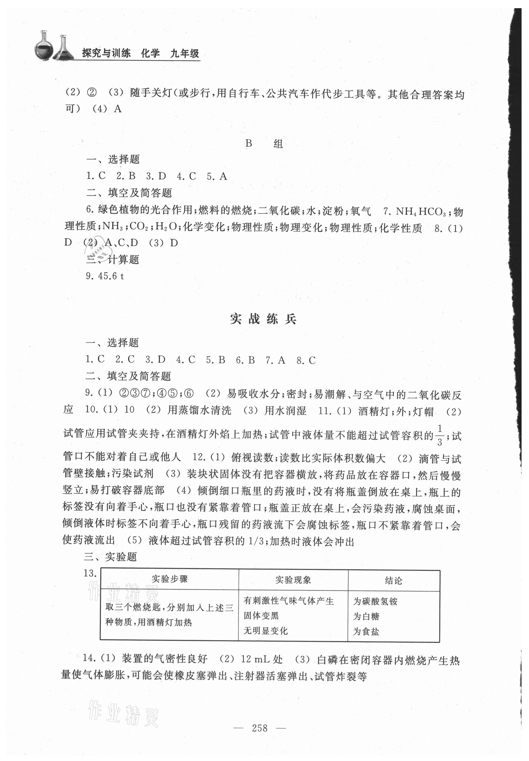 2021年探究与训练九年级化学全一册沪教版 参考答案第3页