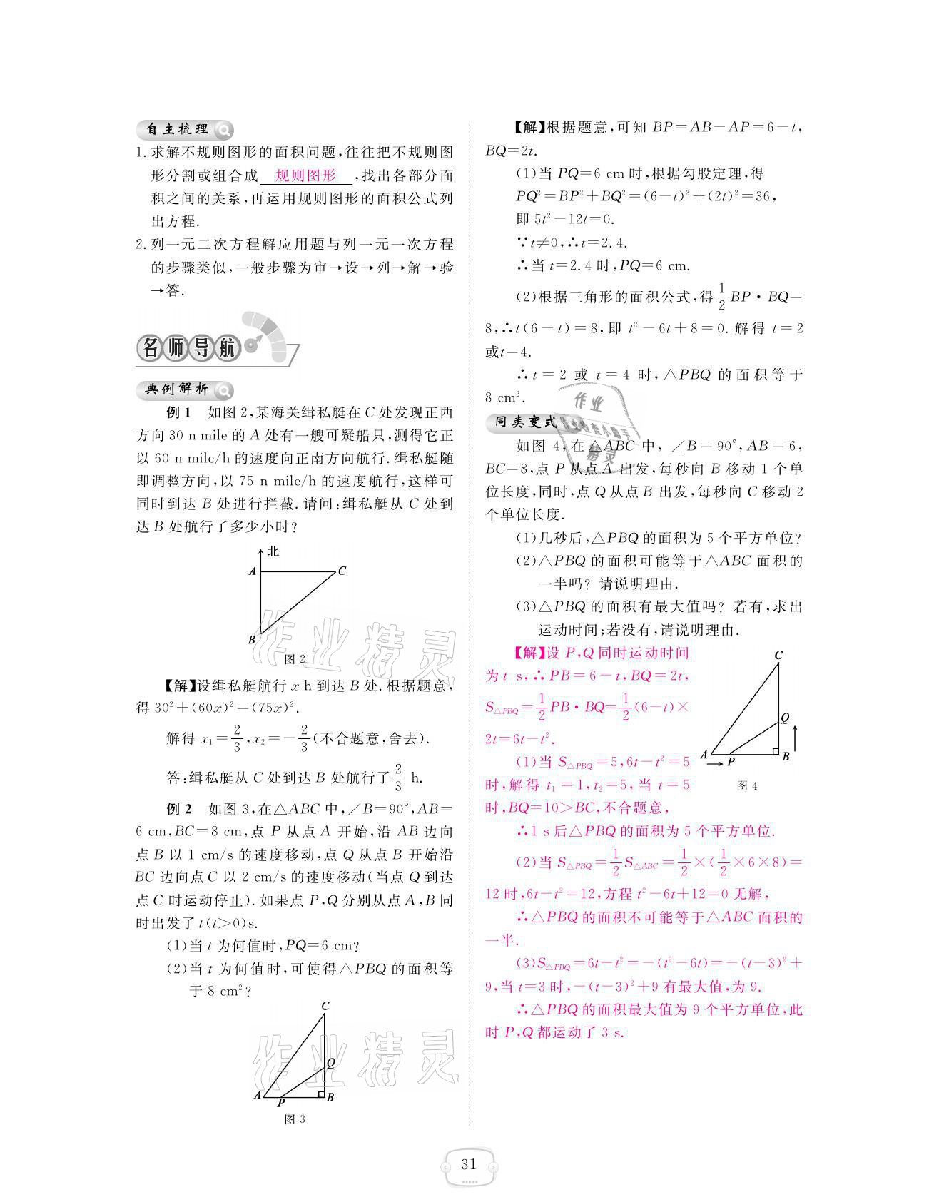 2021年領航新課標練習冊九年級數(shù)學全一冊北師大版 參考答案第31頁