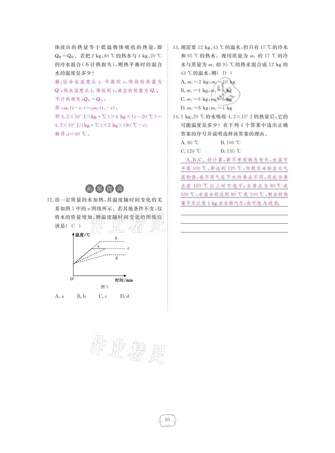 2021年領(lǐng)航新課標練習冊九年級物理全一冊人教版 參考答案第10頁