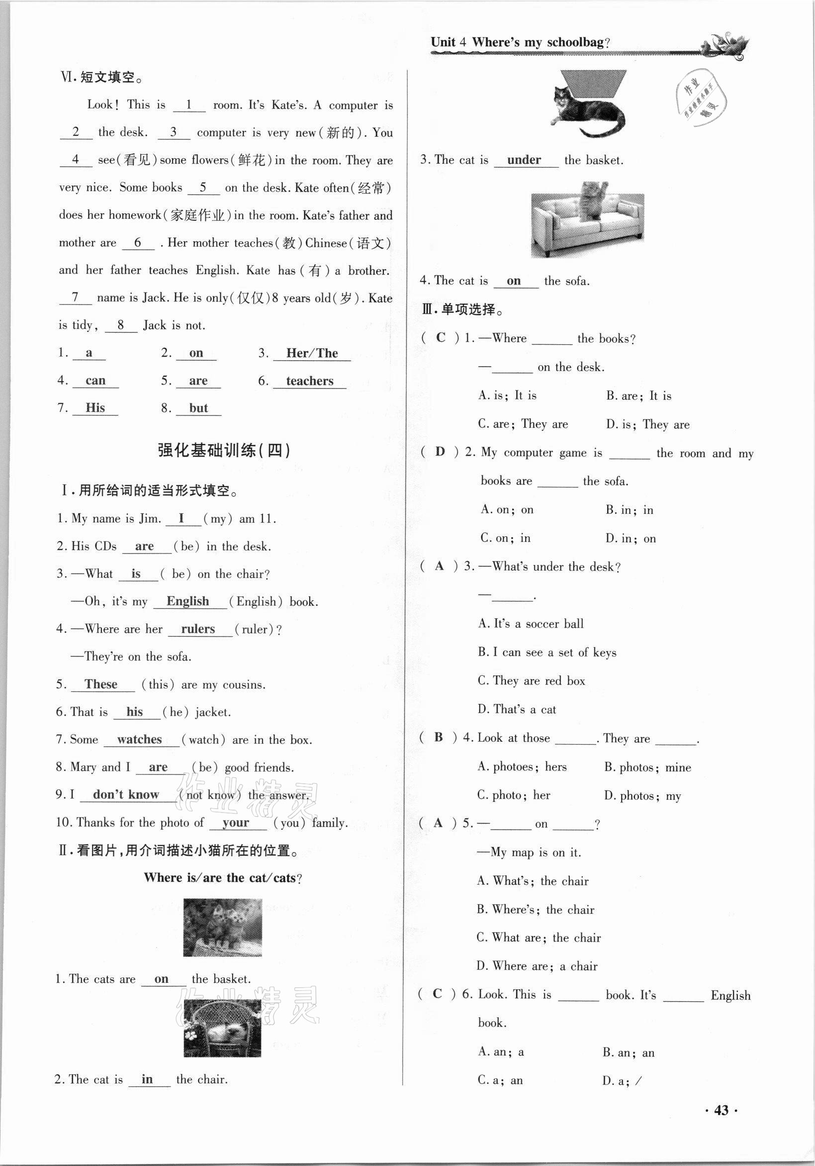 2021年節(jié)節(jié)高一對一同步精練測評七年級英語上冊人教版 參考答案第43頁